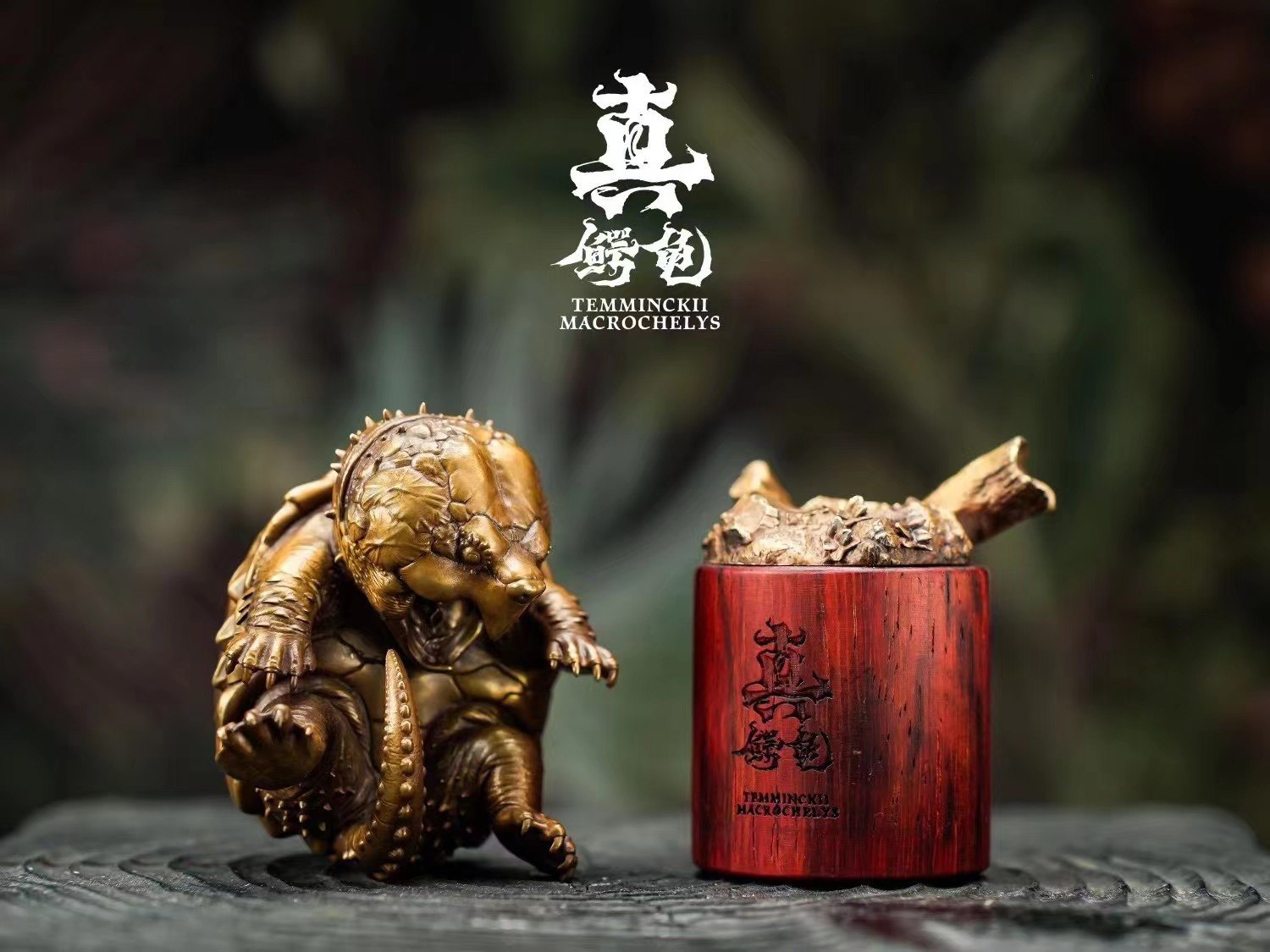 Schildkröten-Serie Tiermodell