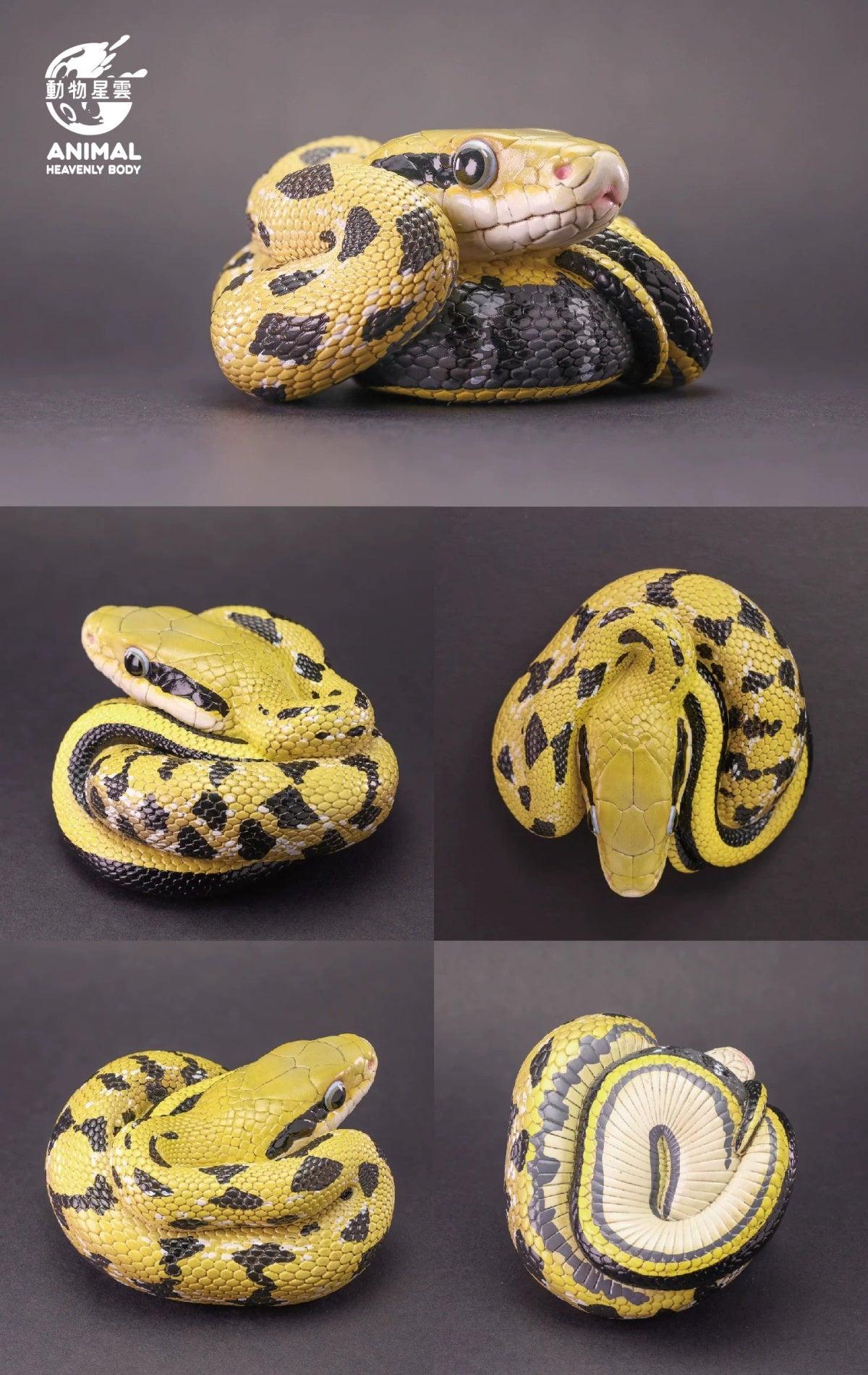 Animal Heavenly Body 23 Snake 3.0 Blind Box Model