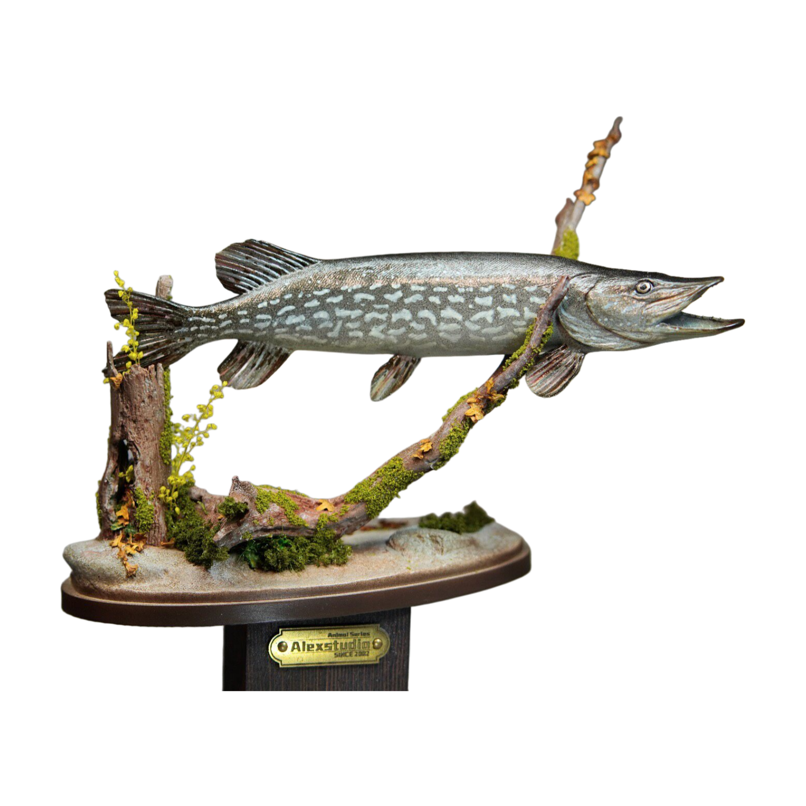 Alex Studio Northern Pike Model