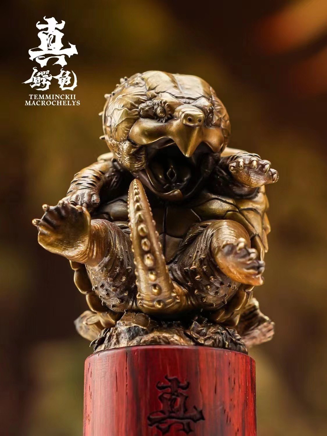 Schildkröten-Serie Tiermodell