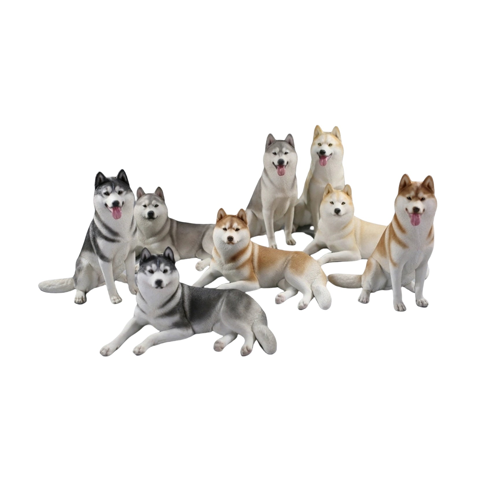 JXK 1/6 Siberian Husky 2.0 Figure