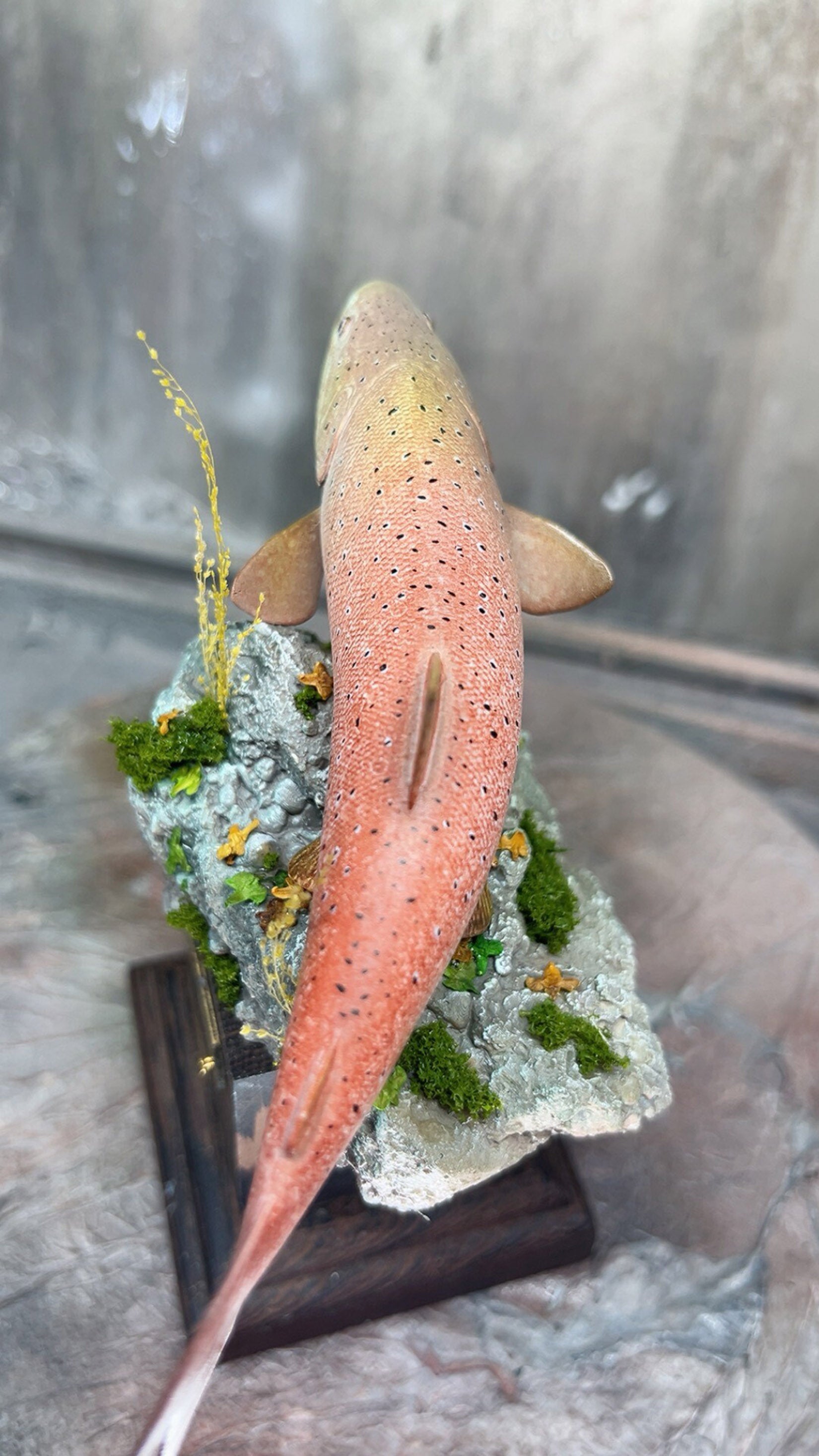 Alex Studio Siberian Huchen Model