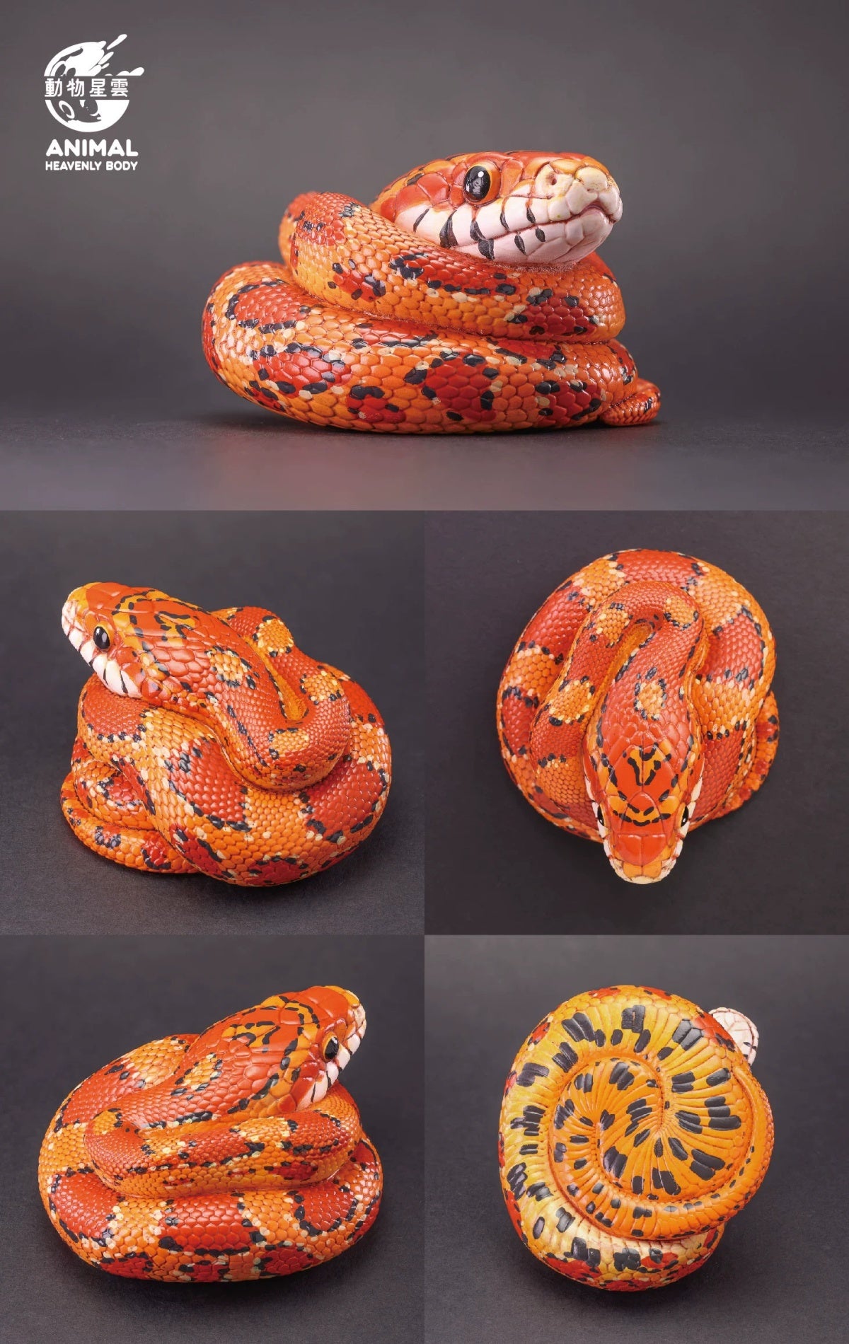 Animal Heavenly Body 23 Snake 3.0 Blind Box Model