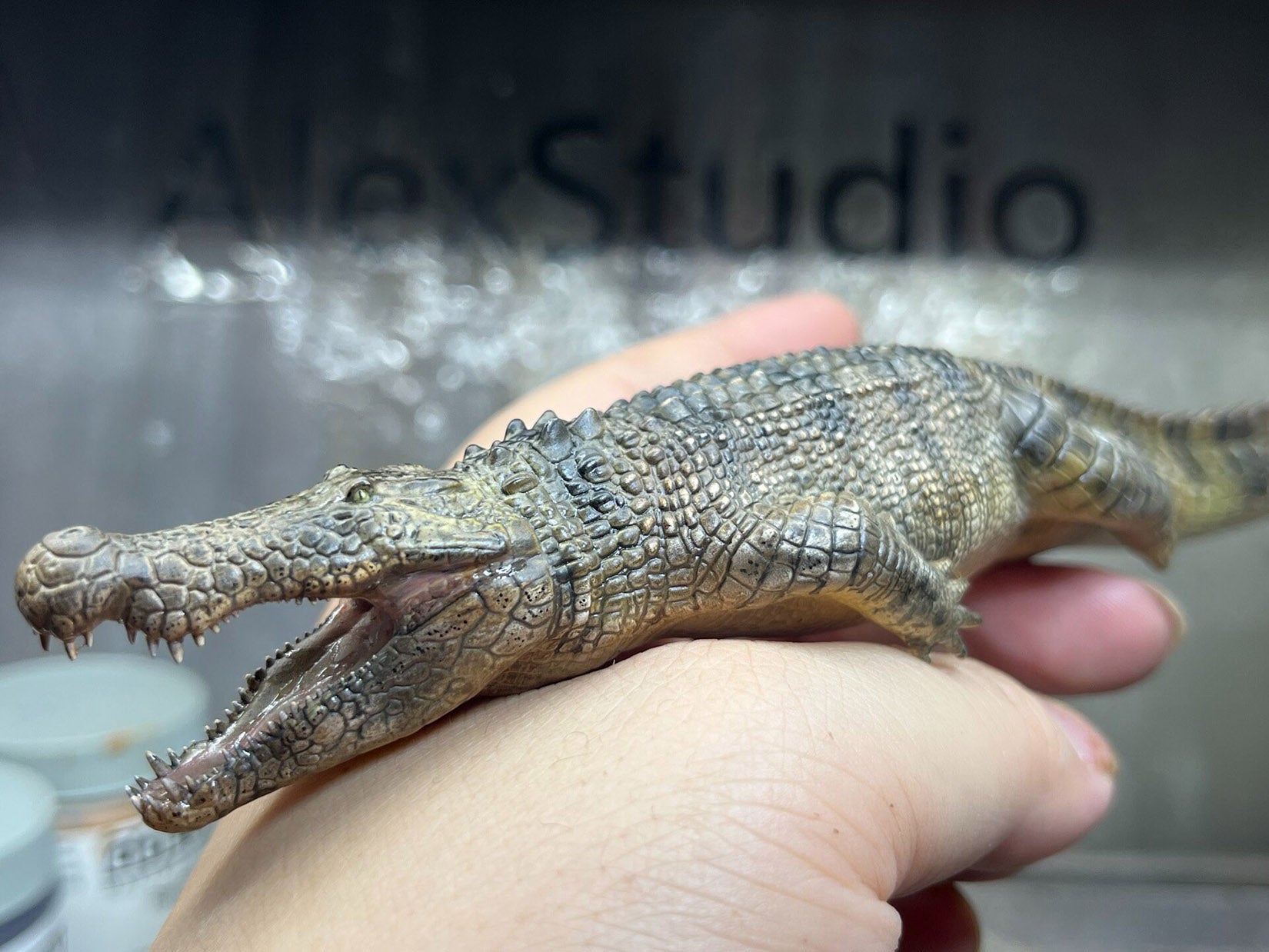 Alex Studio Deinosuchus Model