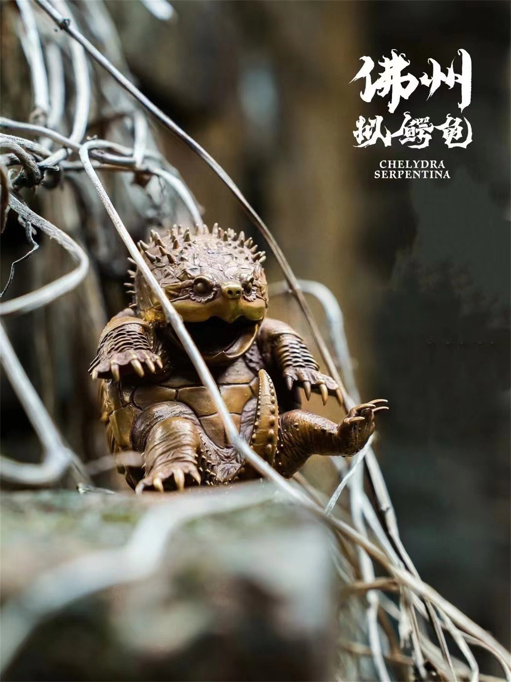 Schildkröten-Serie Tiermodell