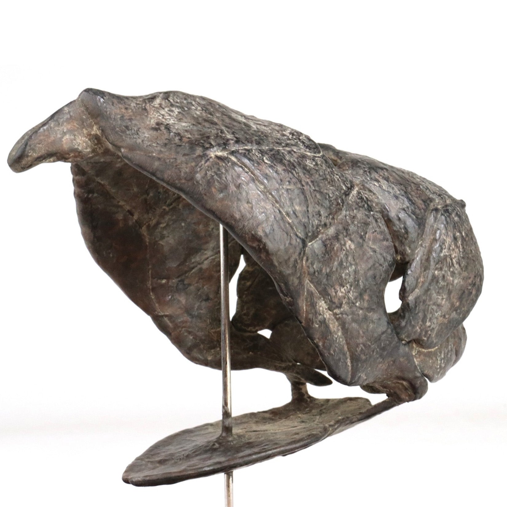 Allosaurus-Skelettmodell im Maßstab 1:18