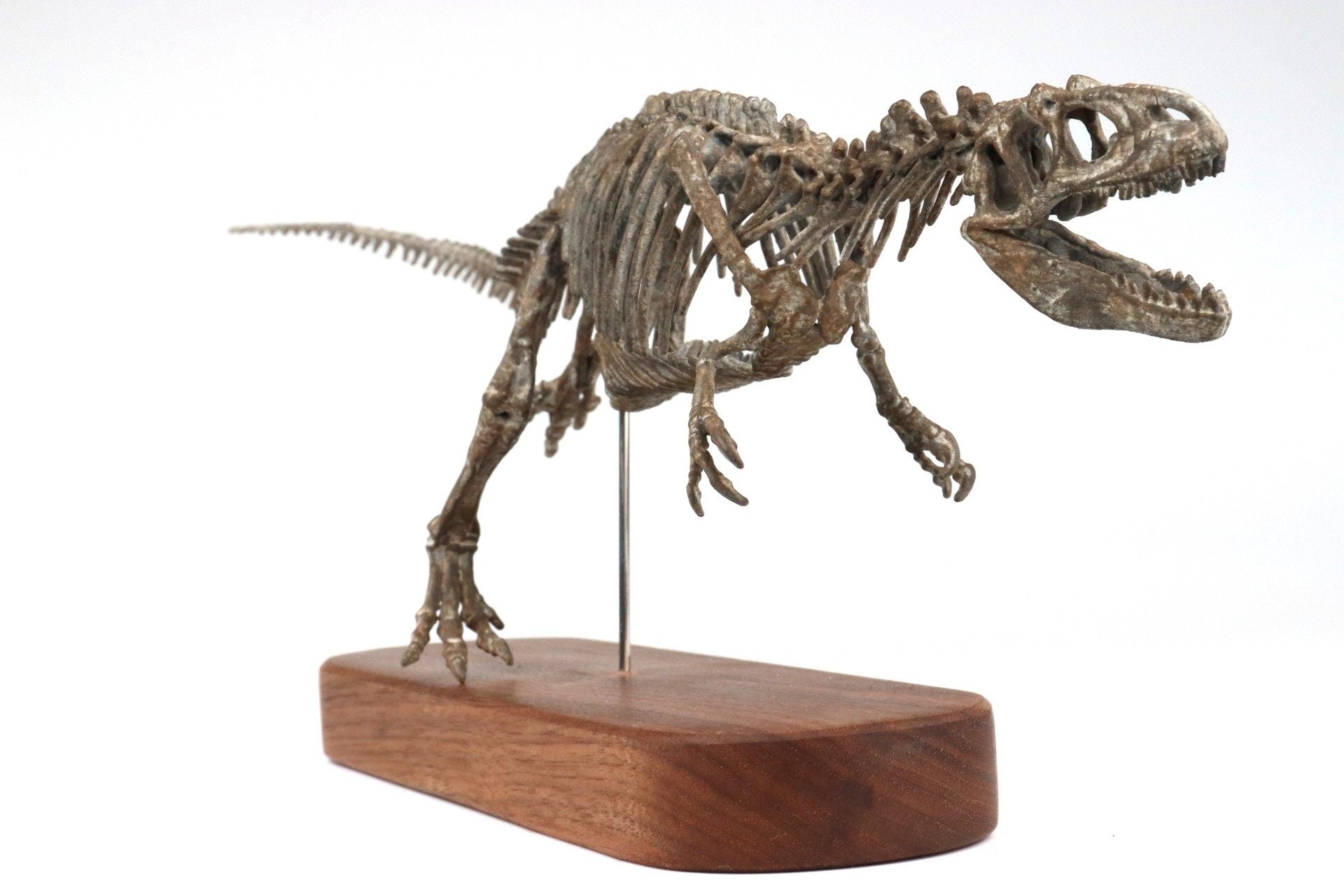 1: 18 Scale Allosaurus Skeleton Model