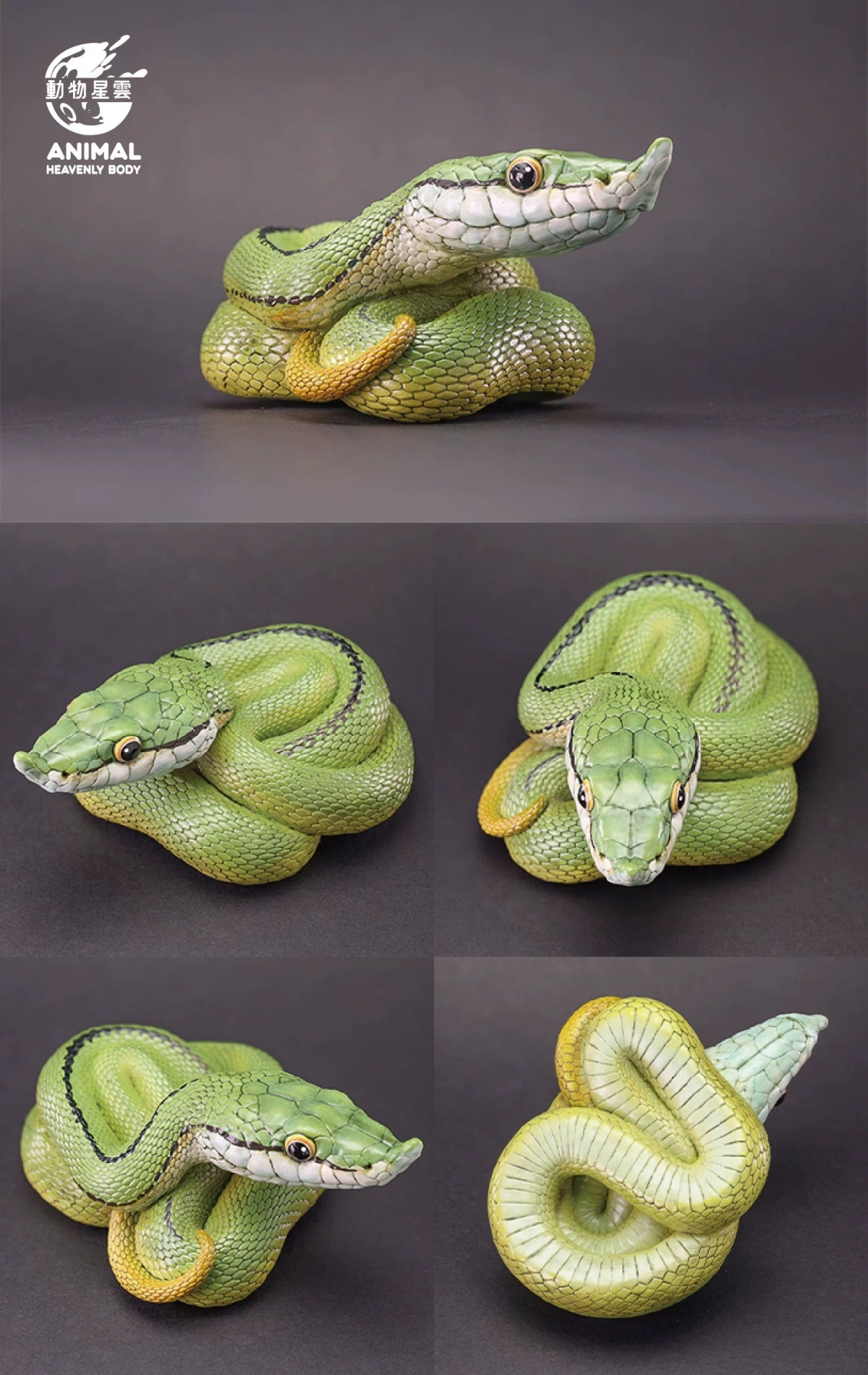Animal Heavenly Body 23 Snake 3.0 Blind Box Model