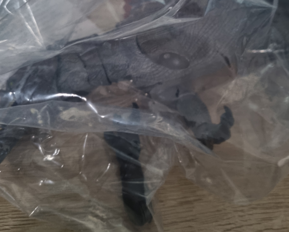 Nanmu Studio Spinosaurus Supplanter 3.0 Action Figure Second-hand