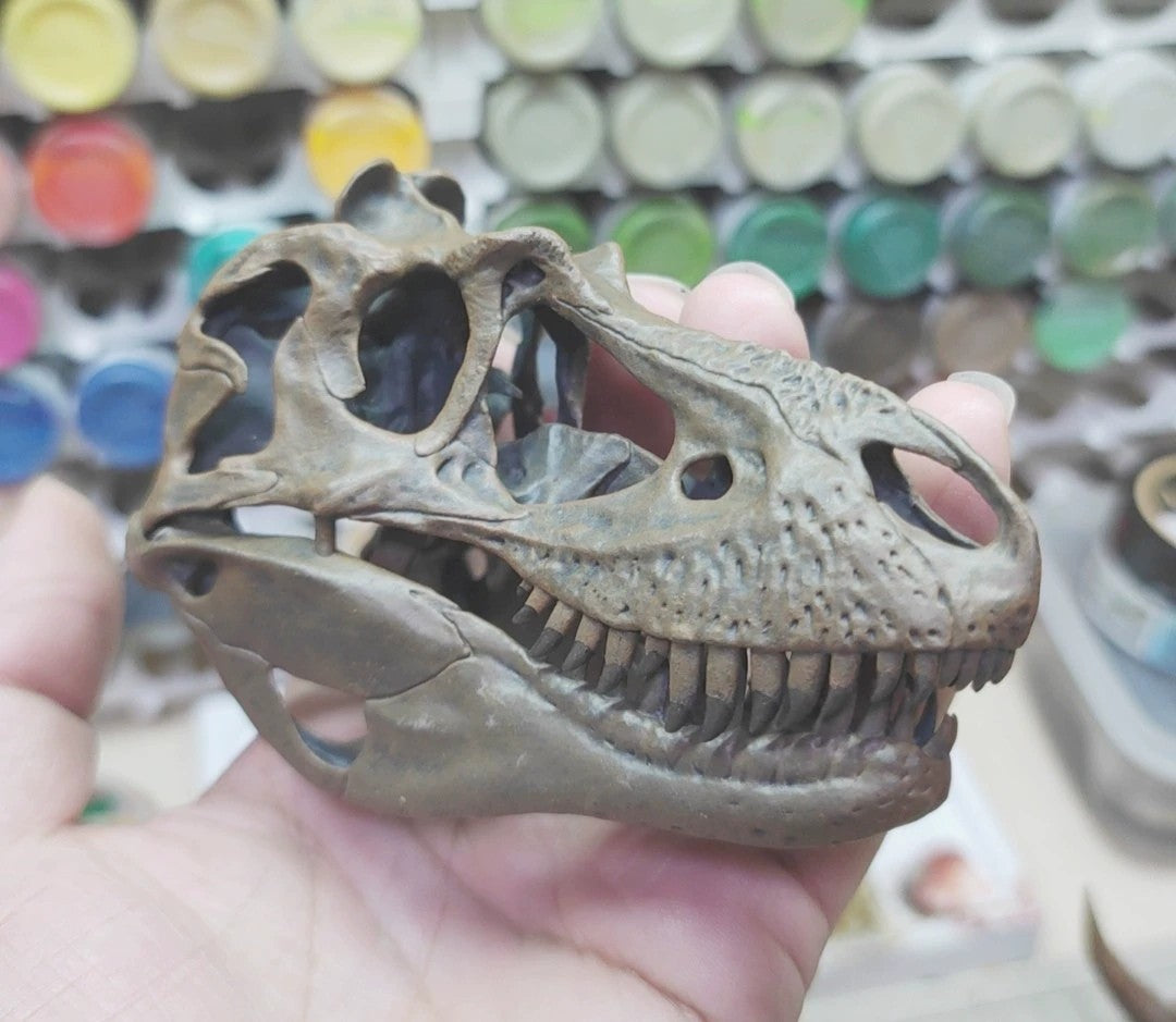 Tyrannosaurus Skull Model