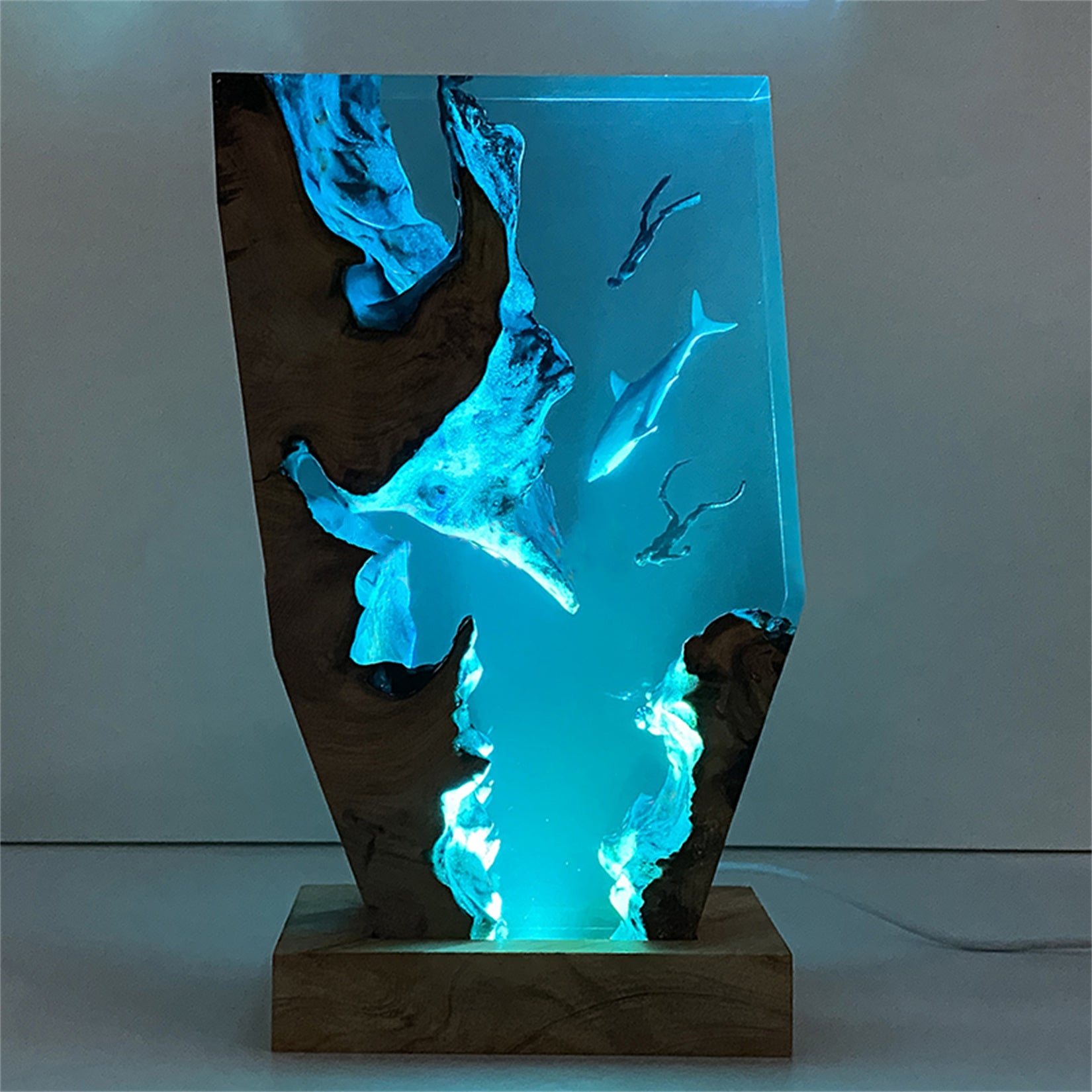 The Shark & Divers Ocean Model