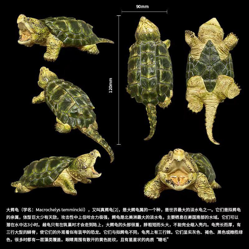 BOWUZHI Studio Macrochelys Temminckii Limited Edition