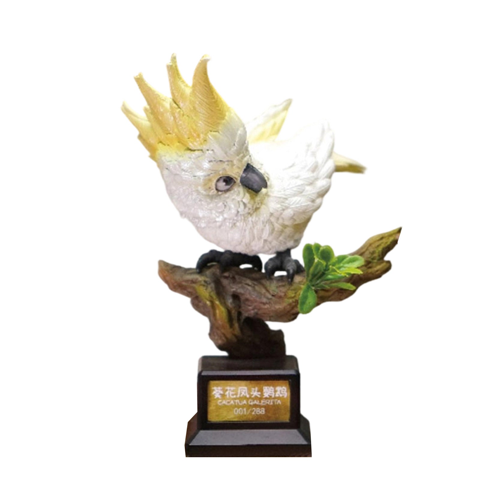 Cacatua Leadbeateri & Cacatua Galerita Parrot Model