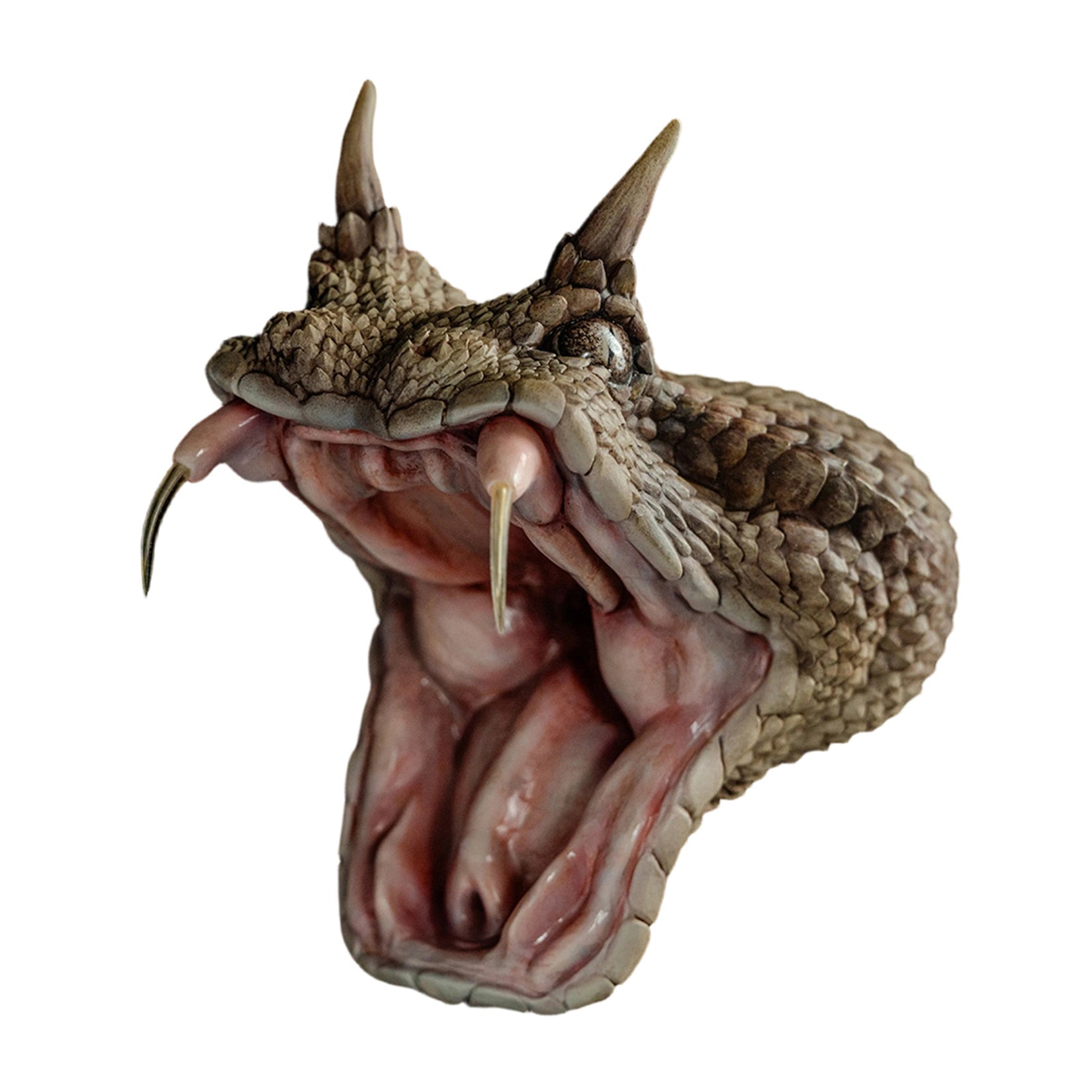 Cerastes Cornutus Snake Model
