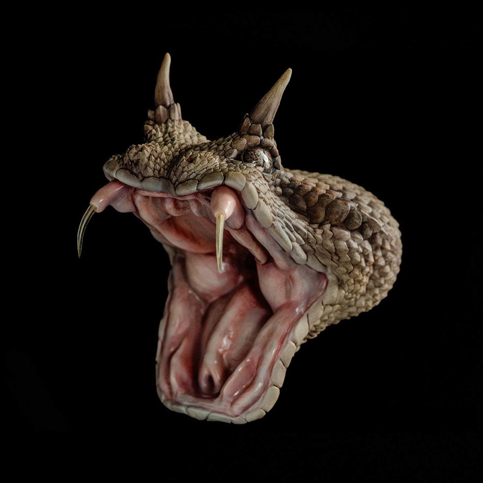 Cerastes Cornutus Snake Model