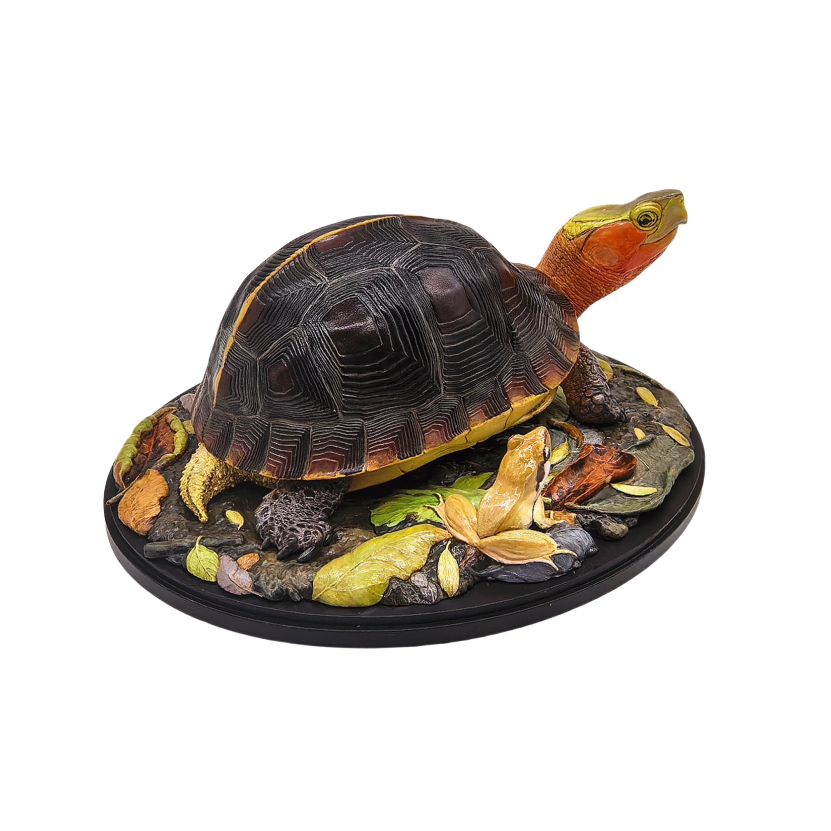 Animal Planet Yellow-margined Box Turtle Model