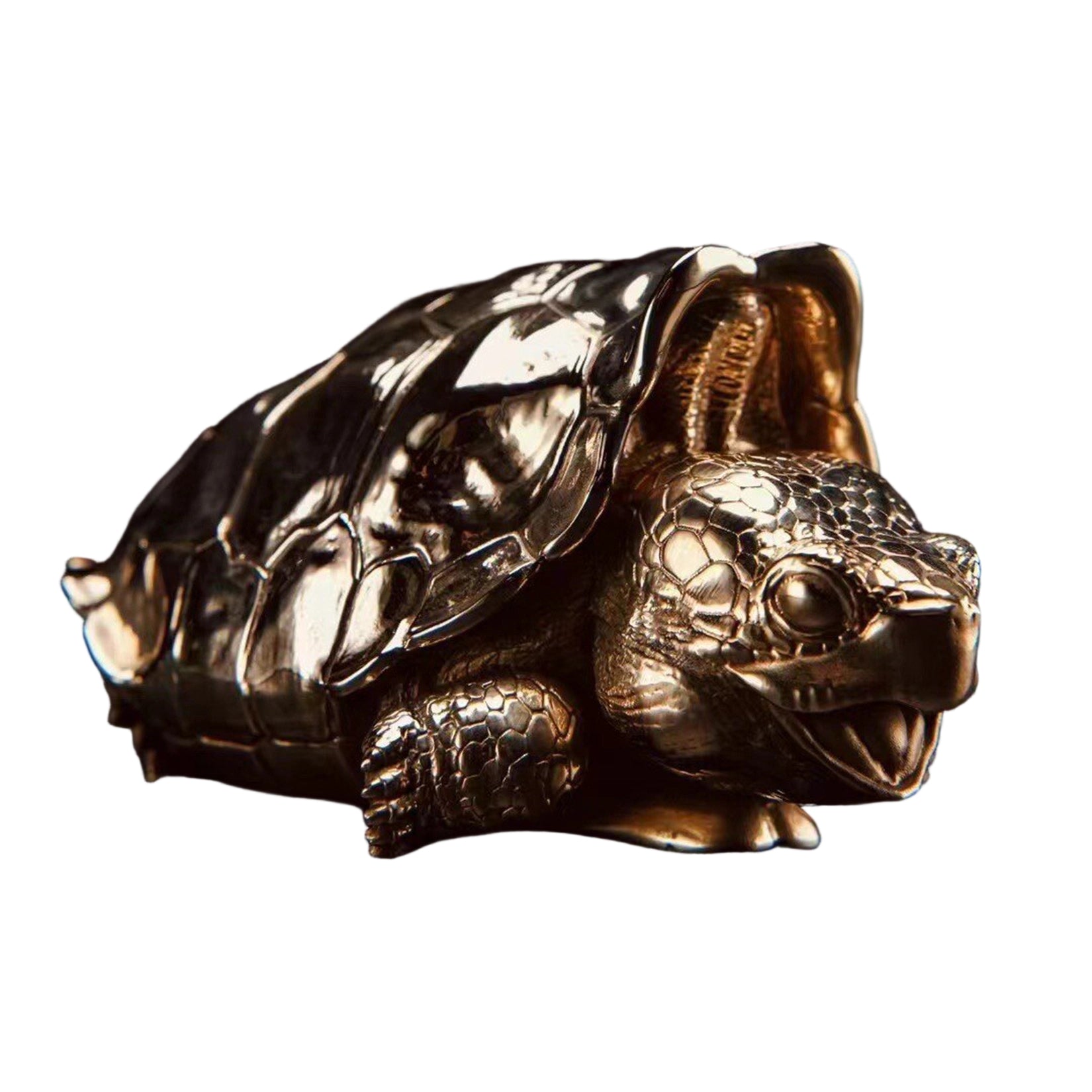 BOWUZHI Studio Galapagos Elephant Turtle Model