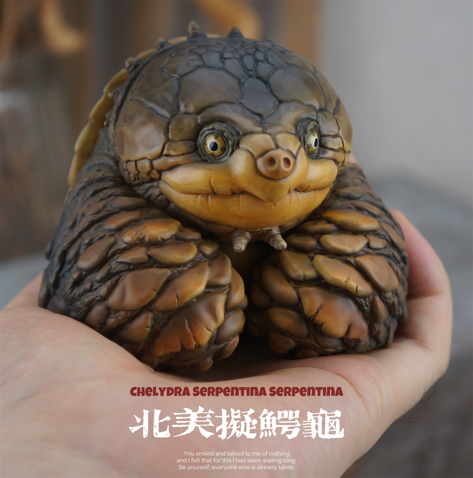 Common Snapping Turtle & Ploughshare Tortoise Figure