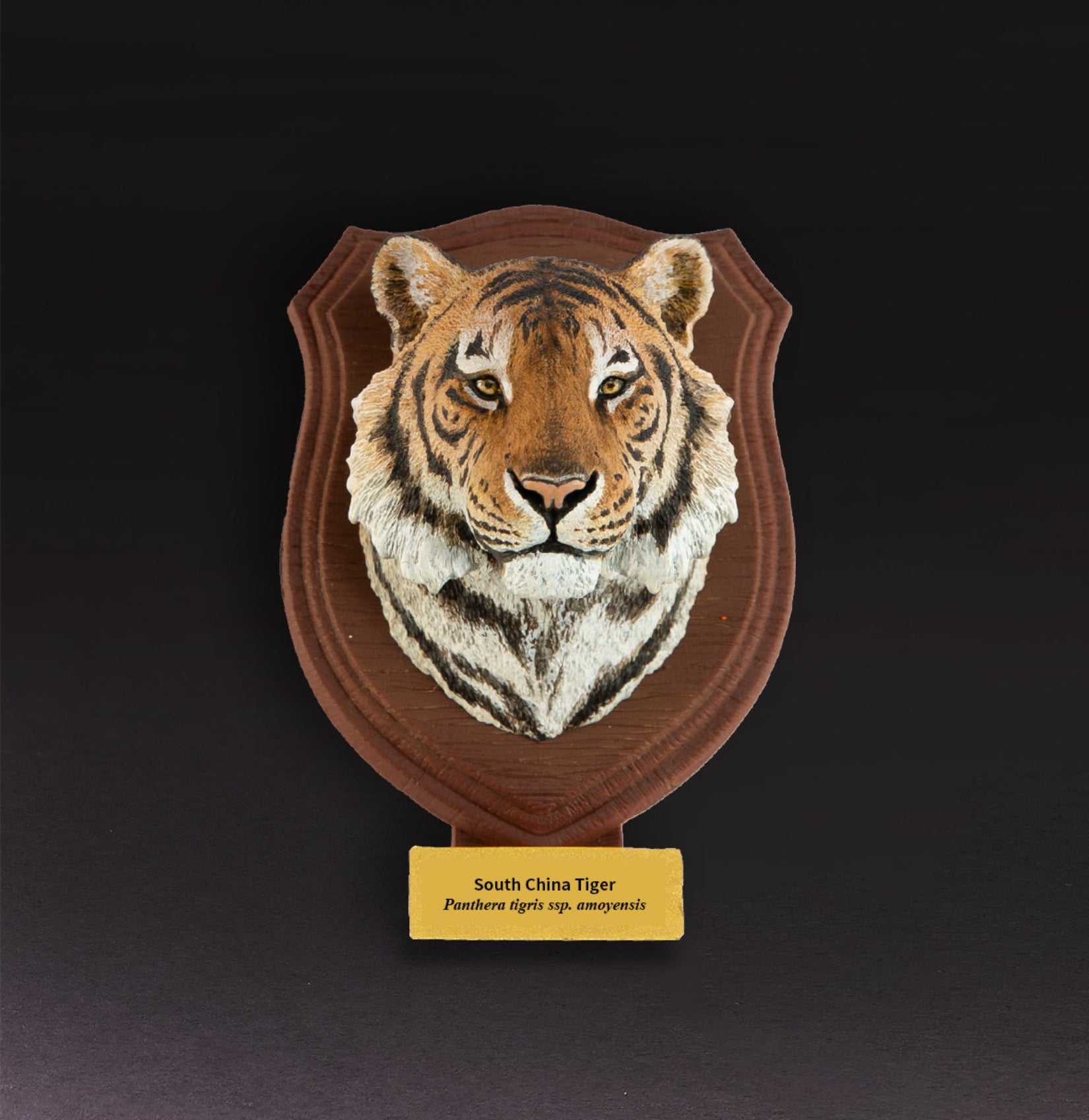 Animal Planet World Encyclopedia Of Animals Volume 2