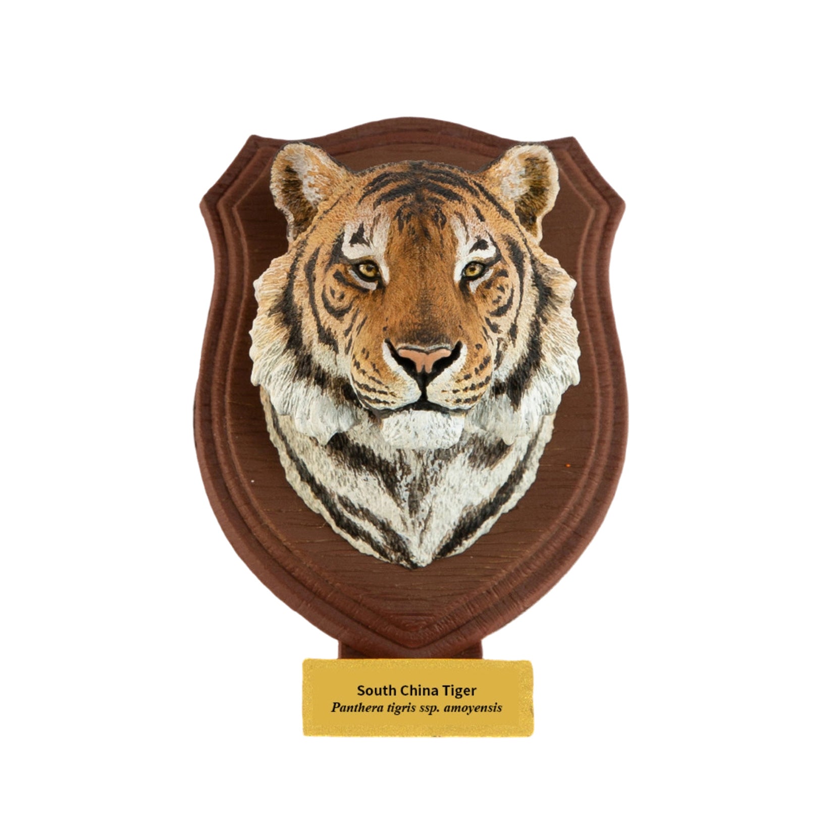 Animal Planet World Encyclopedia Of Animals Volume 2