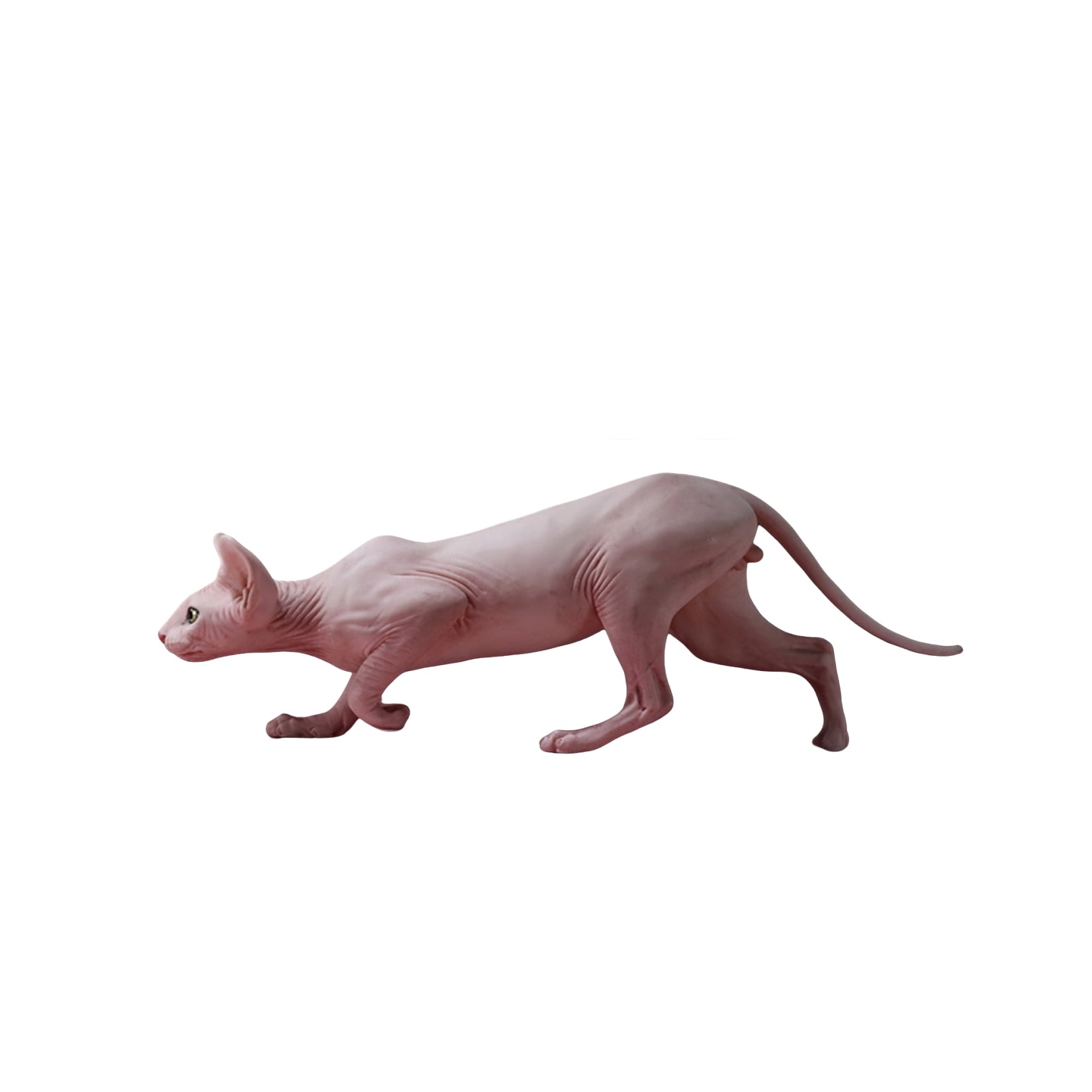 1/6 Canadian Hairless Figure