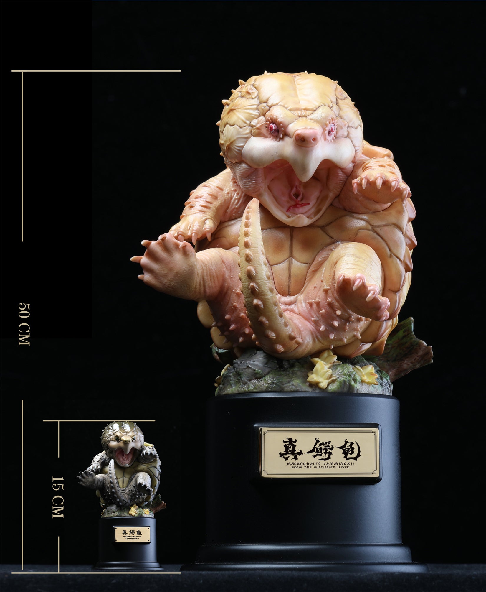 Macrochelys Temminckii Abbildung