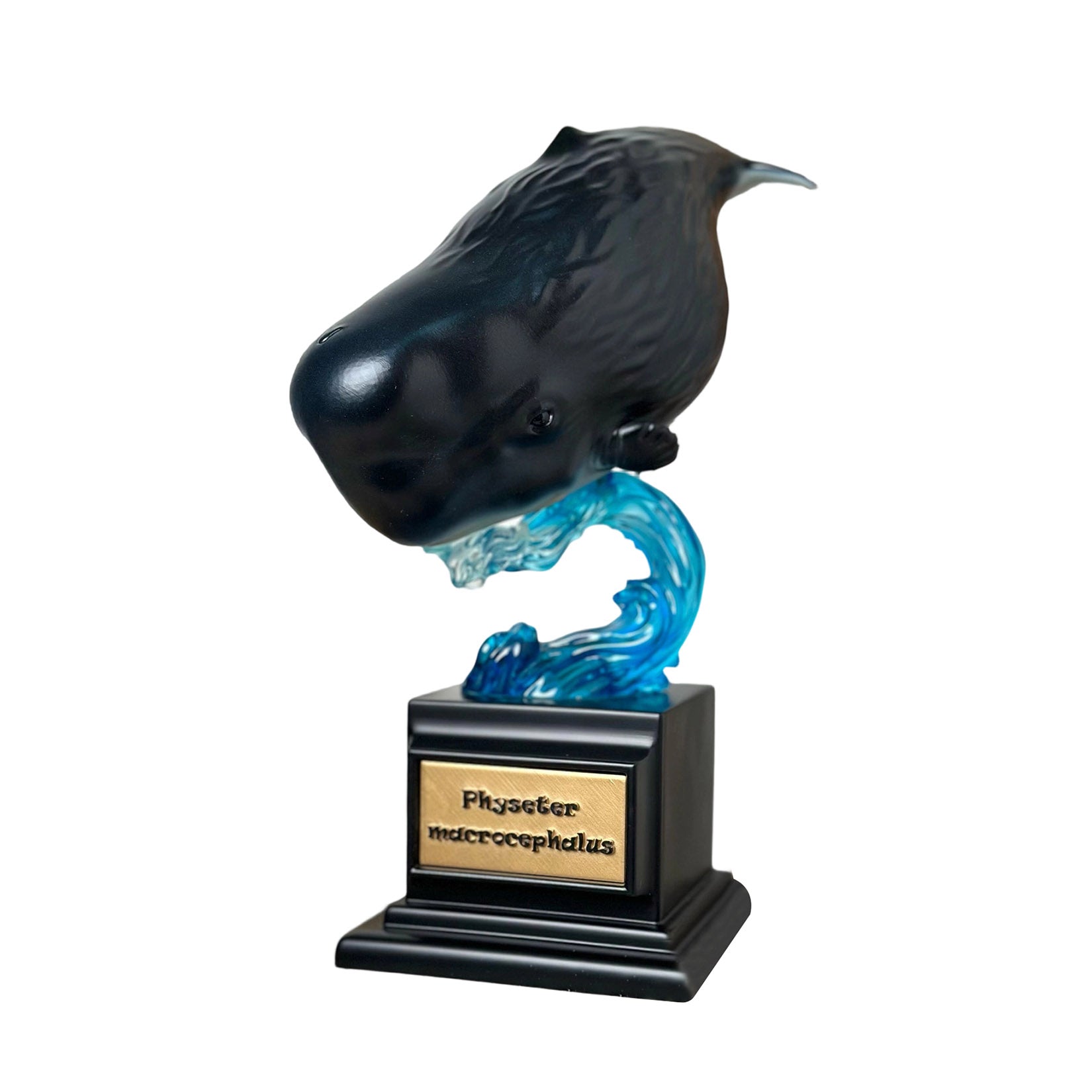 BOWUZHI Studio PLUS Whale Model