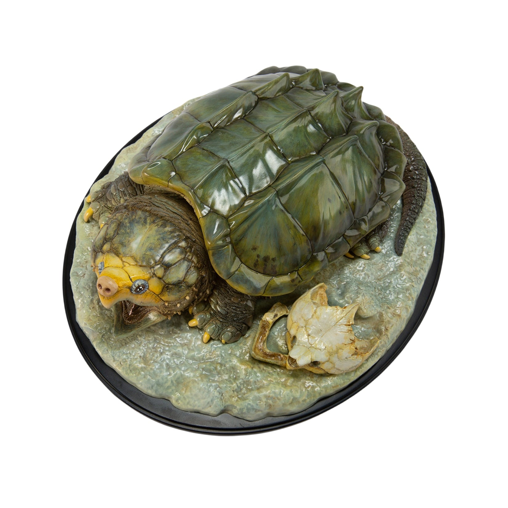 Animal Heavenly Body Plus Alligator Snapping Turtle Figurine