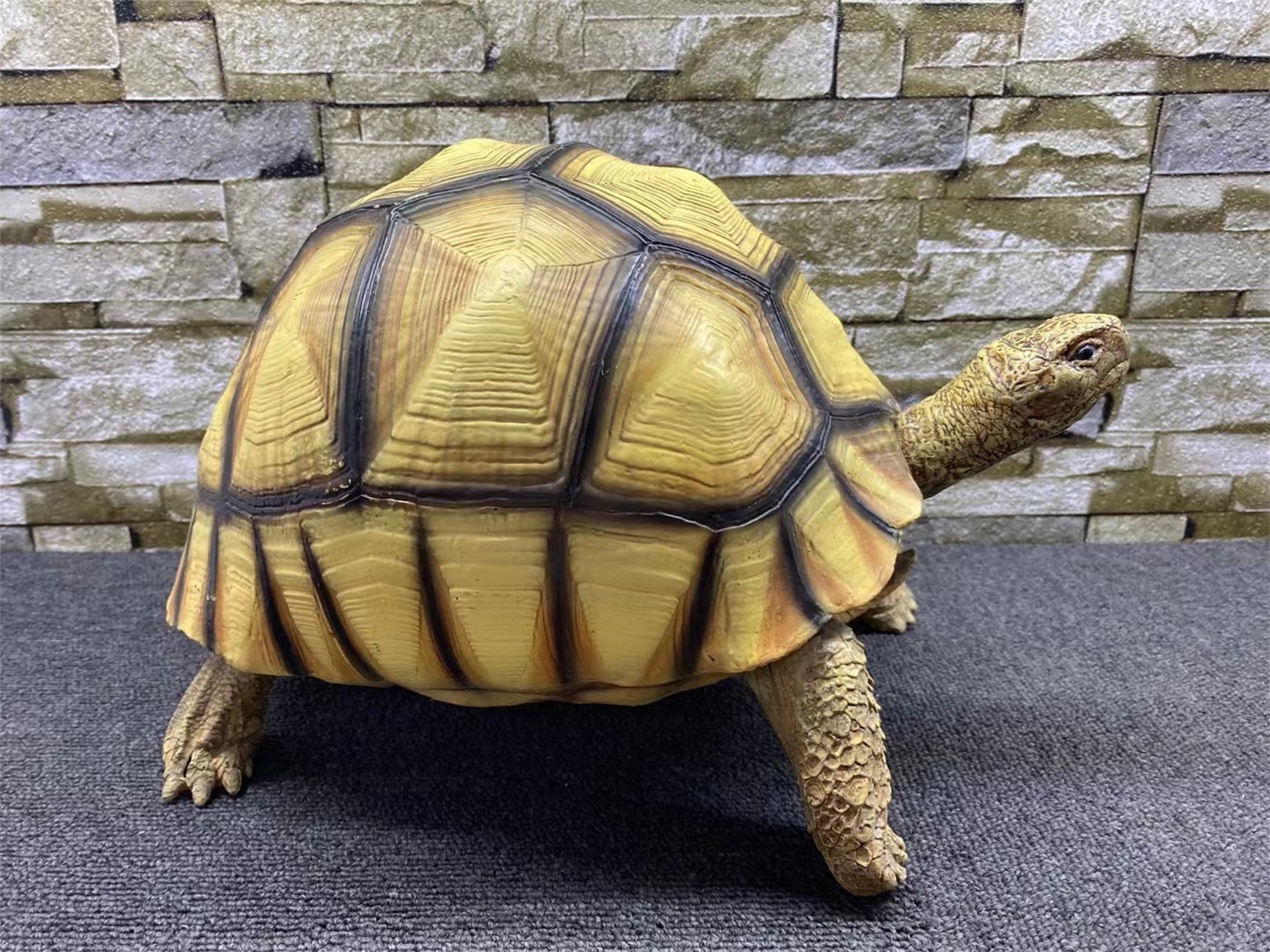 Astrochelys Yniphora Model