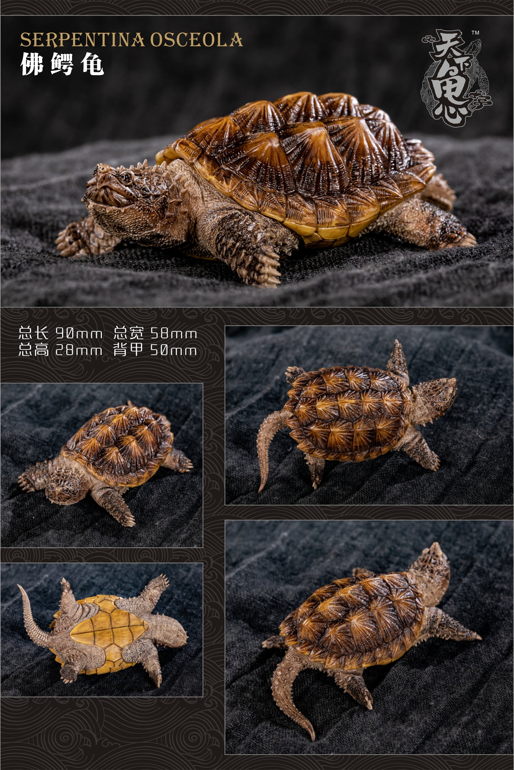 Turtle Model Series