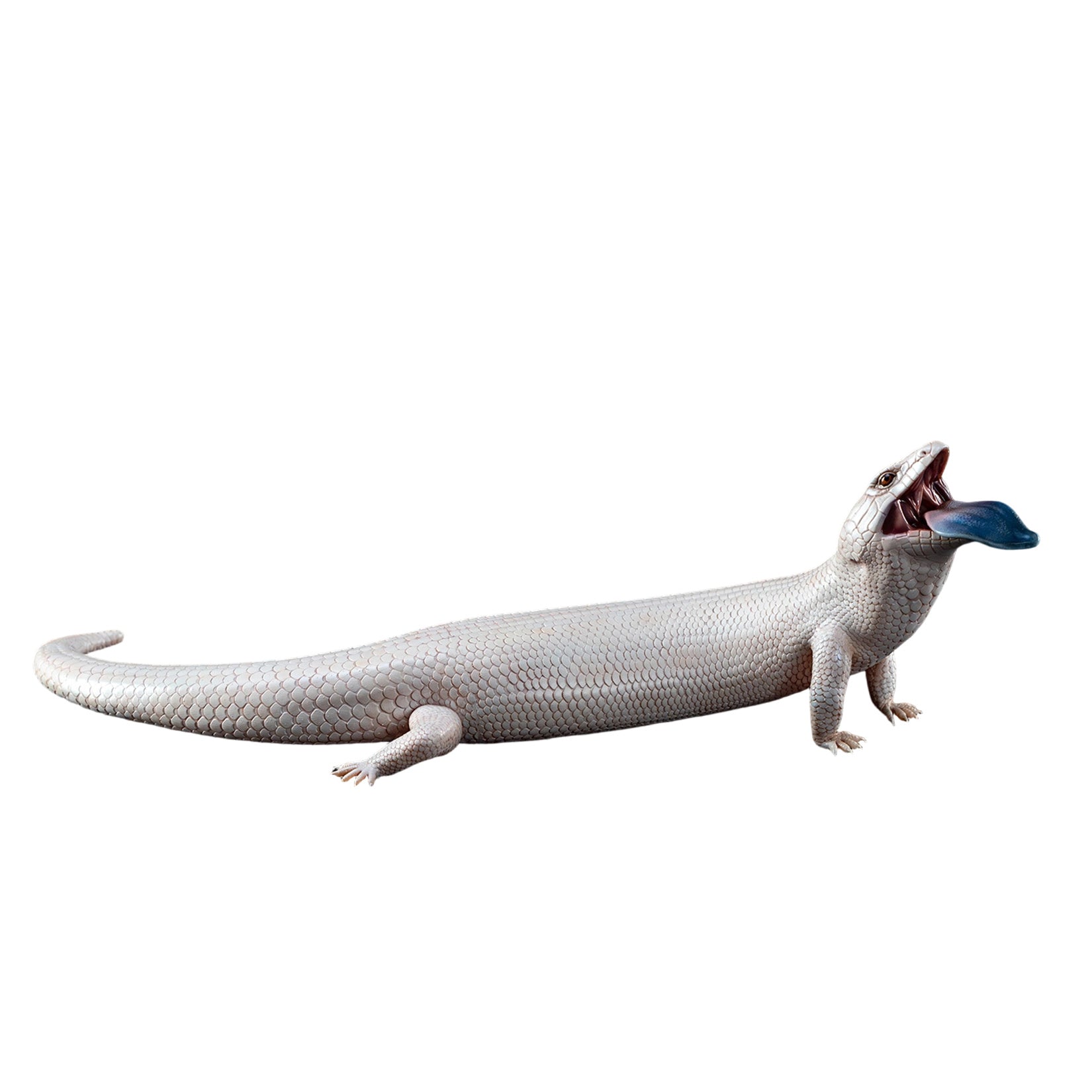 Common Bluetongue Model