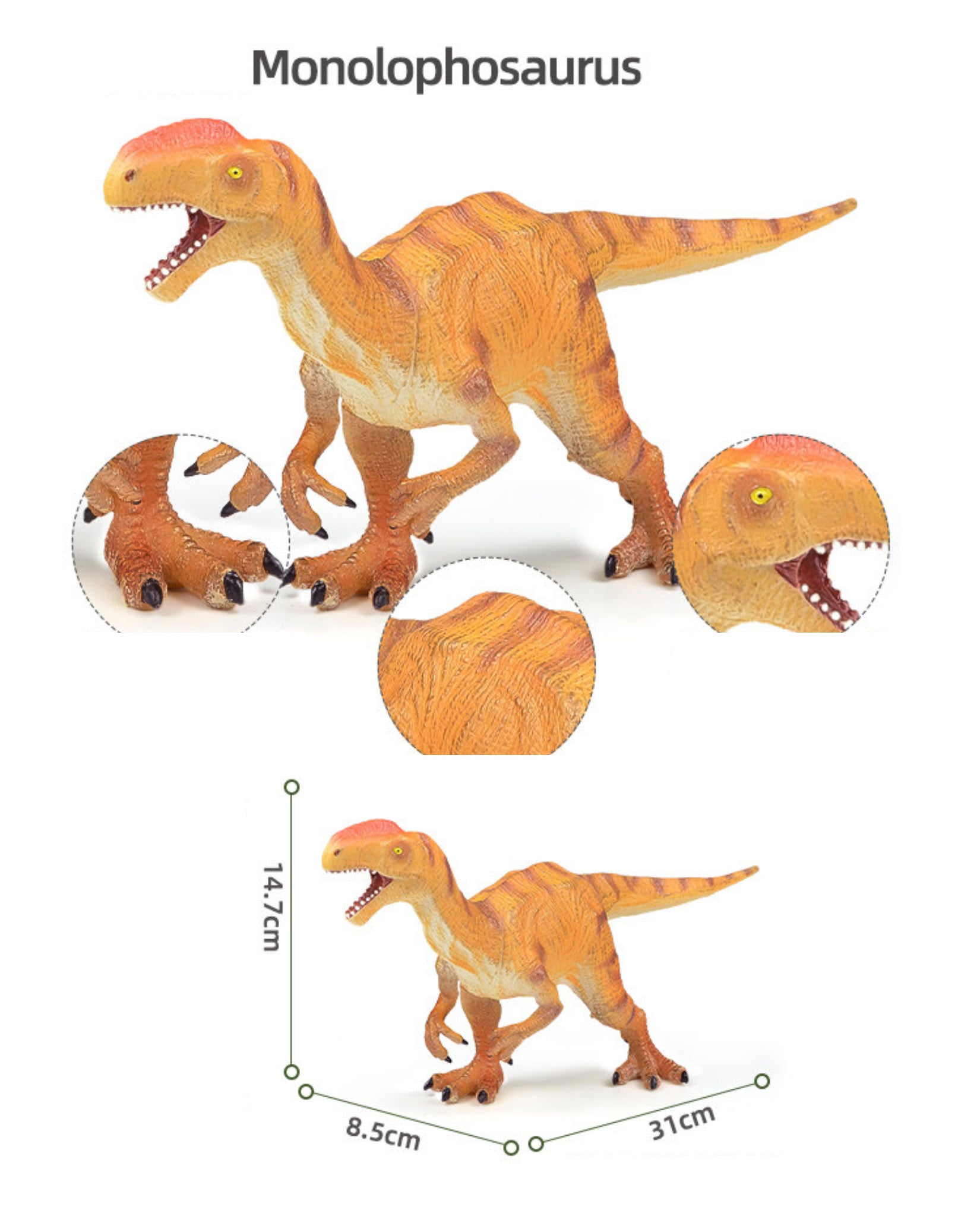 RECUR Monolophosaurus Model