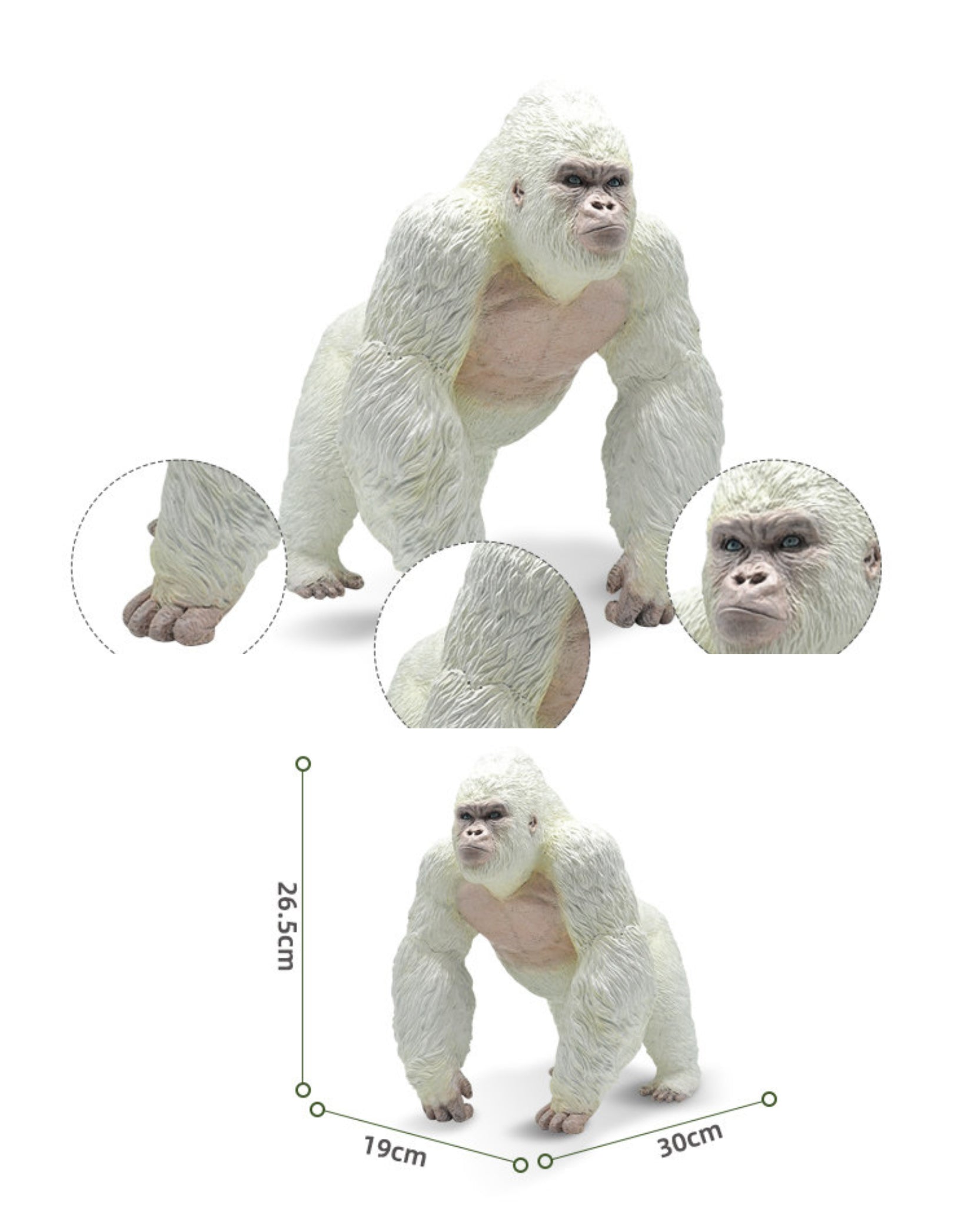 RECUR Gorilla Wild Animal Model