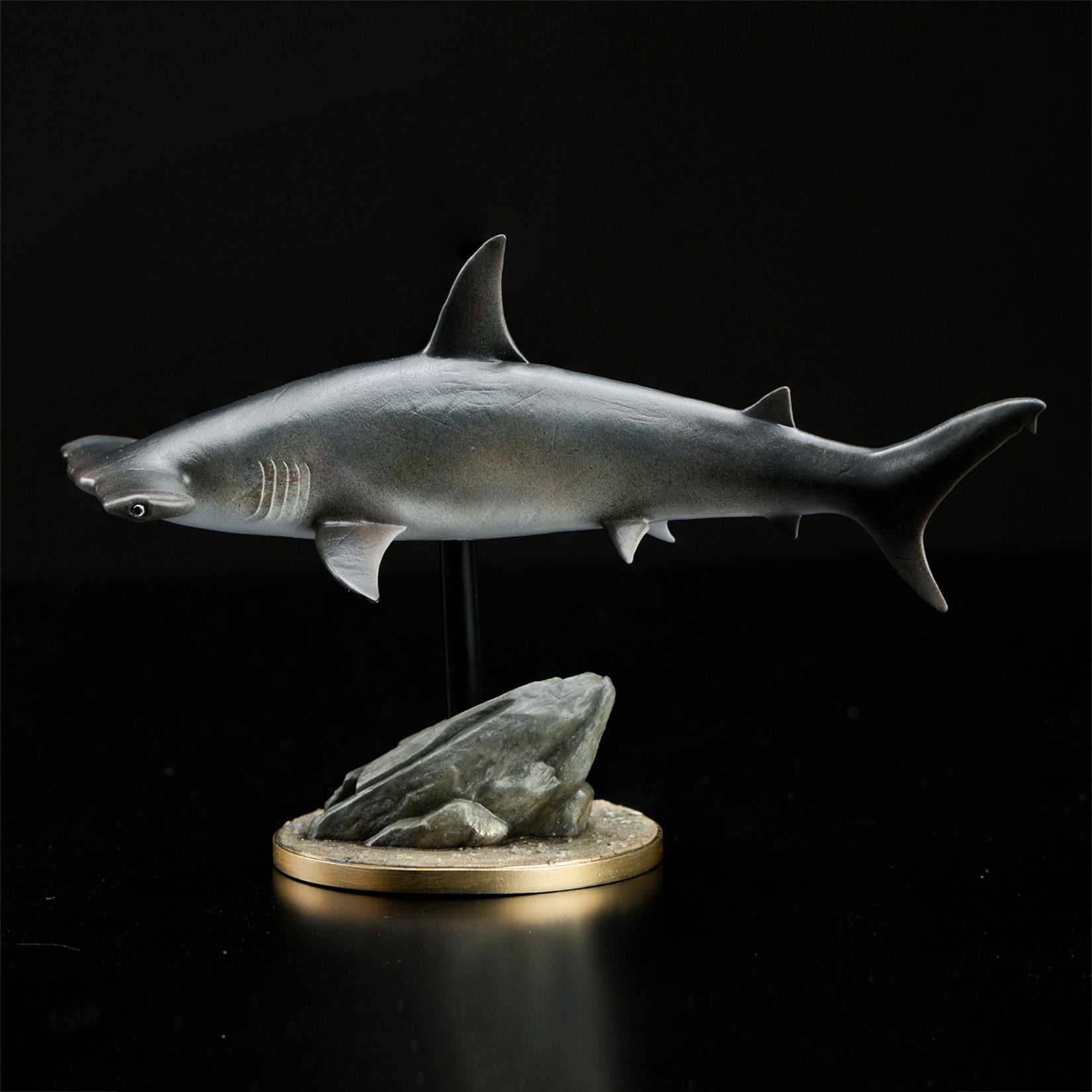 Great Hammerhead Model