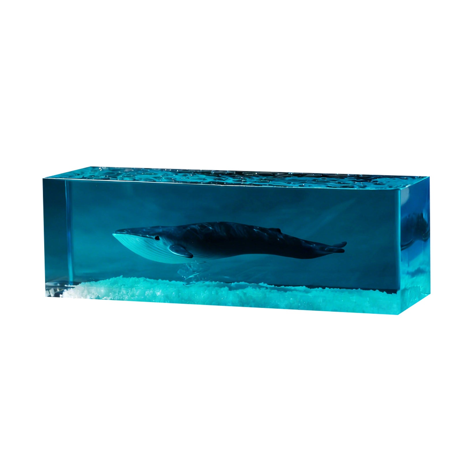 Blue Whale Megalodon Dolphin Resin Figurine