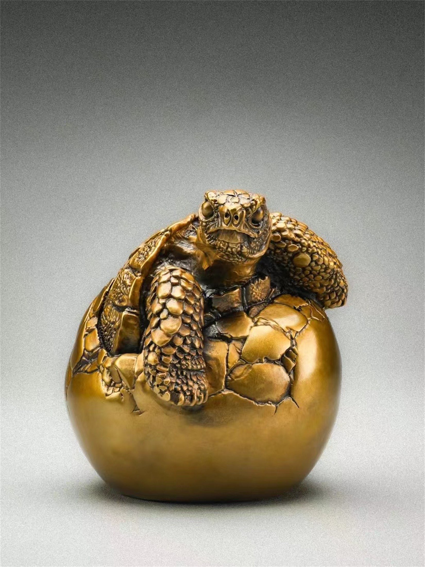 Schildkröten-Serie Tiermodell