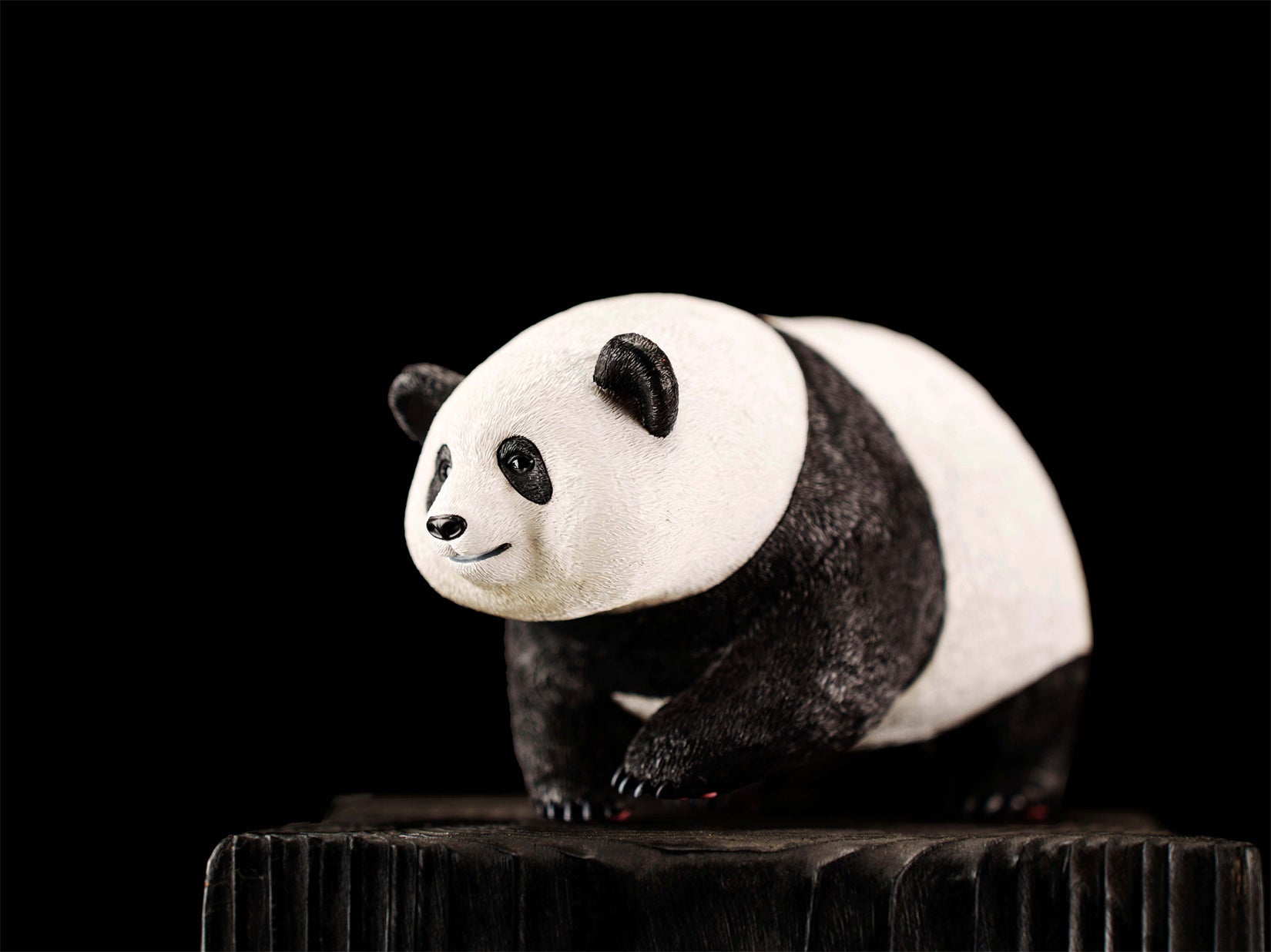 Schildkröten-Serie Tiermodell