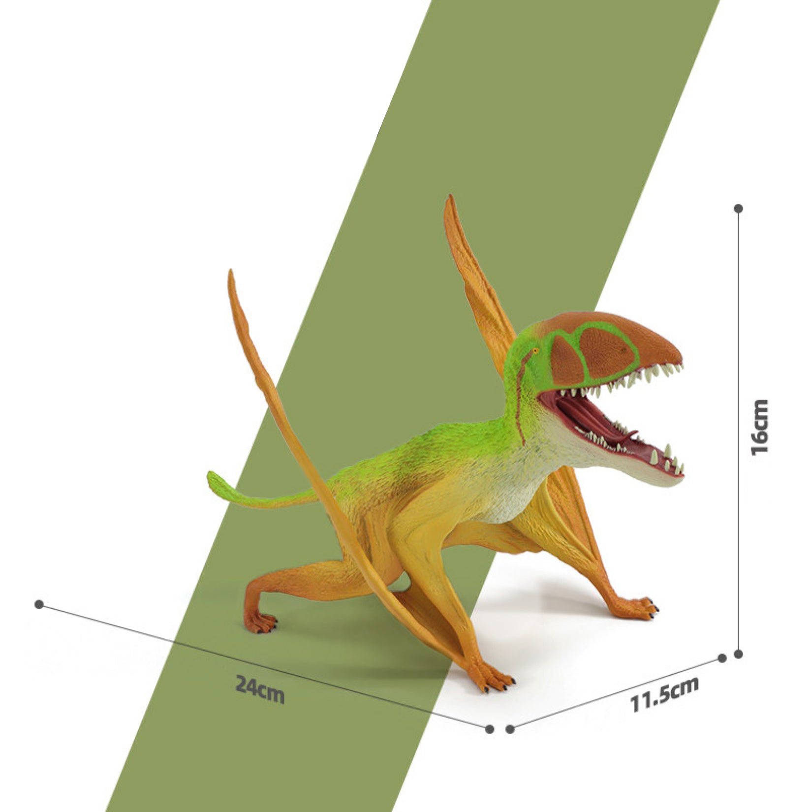 RECUR Dimorphodon Model Dinosaur Scene Decor