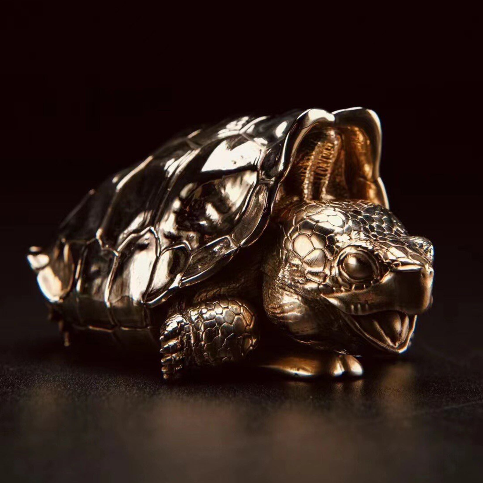 BOWUZHI Studio Galapagos Elephant Turtle Model