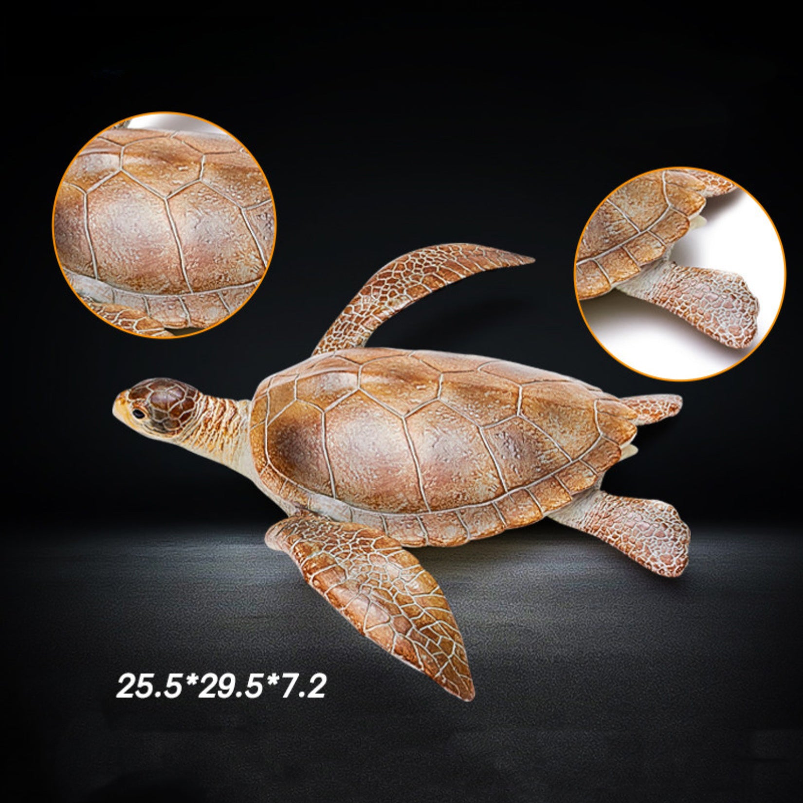 RECUR Sea Turtle Model