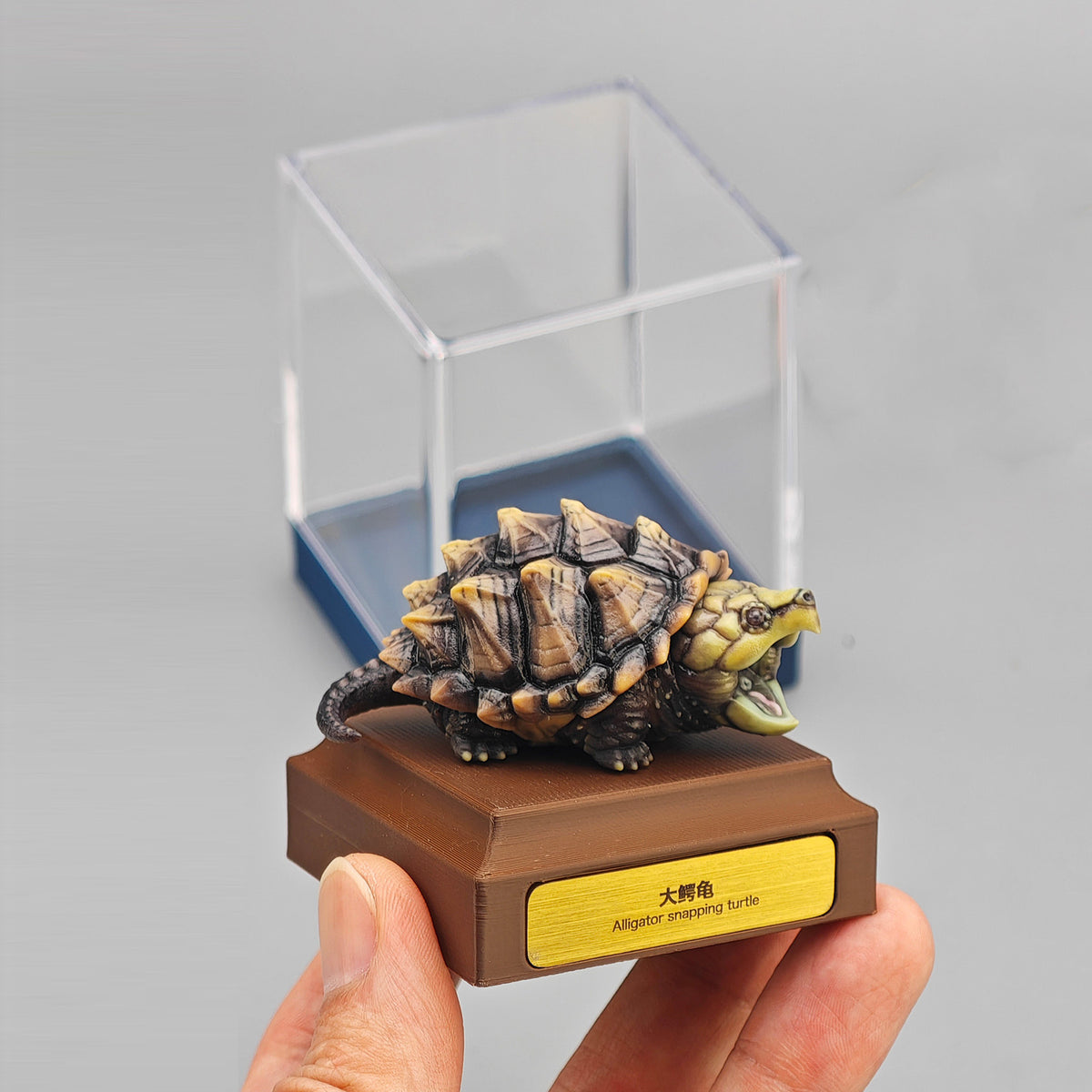 ViVid Studio Alligator Snapping Turtle Figure