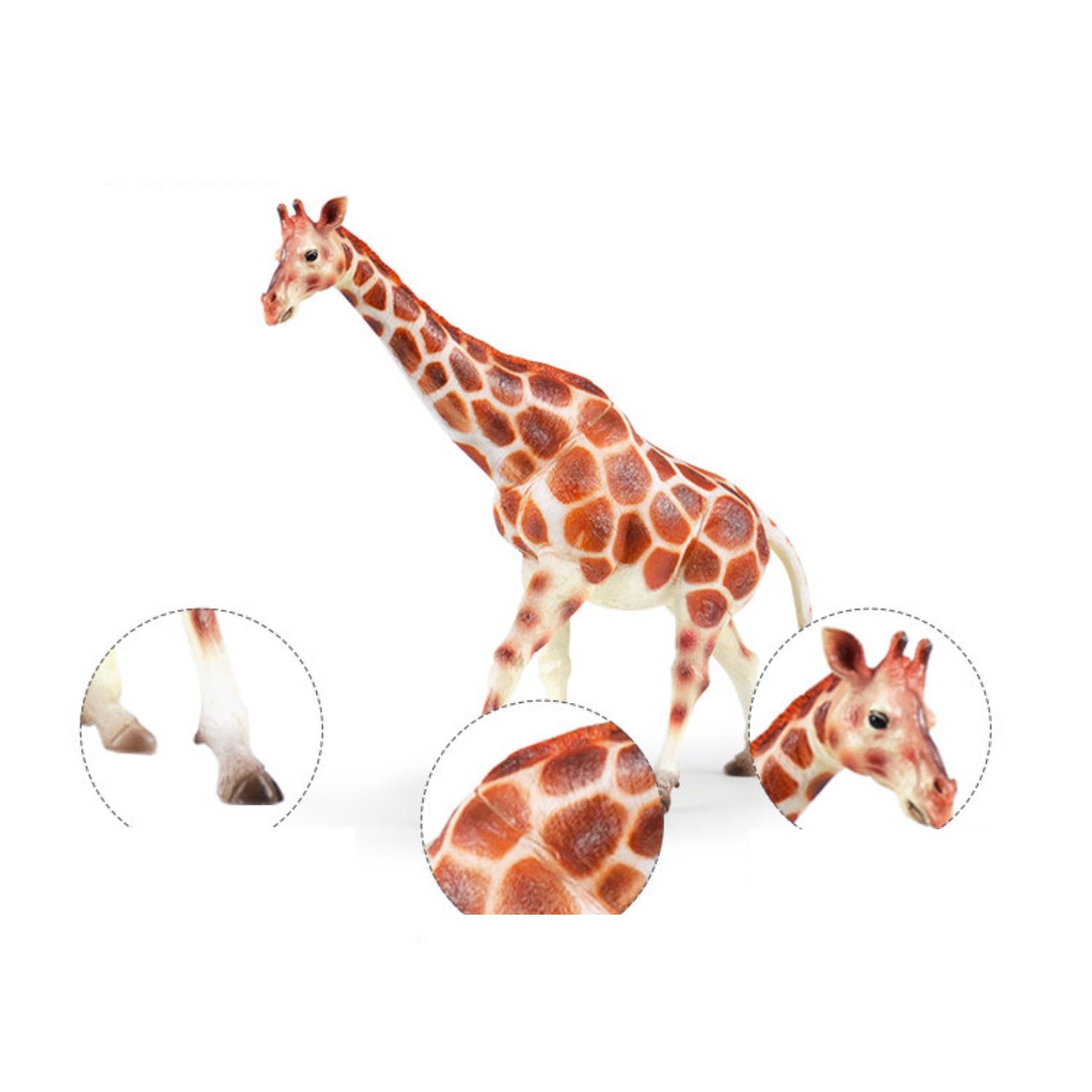 RECUR Giraffe Model
