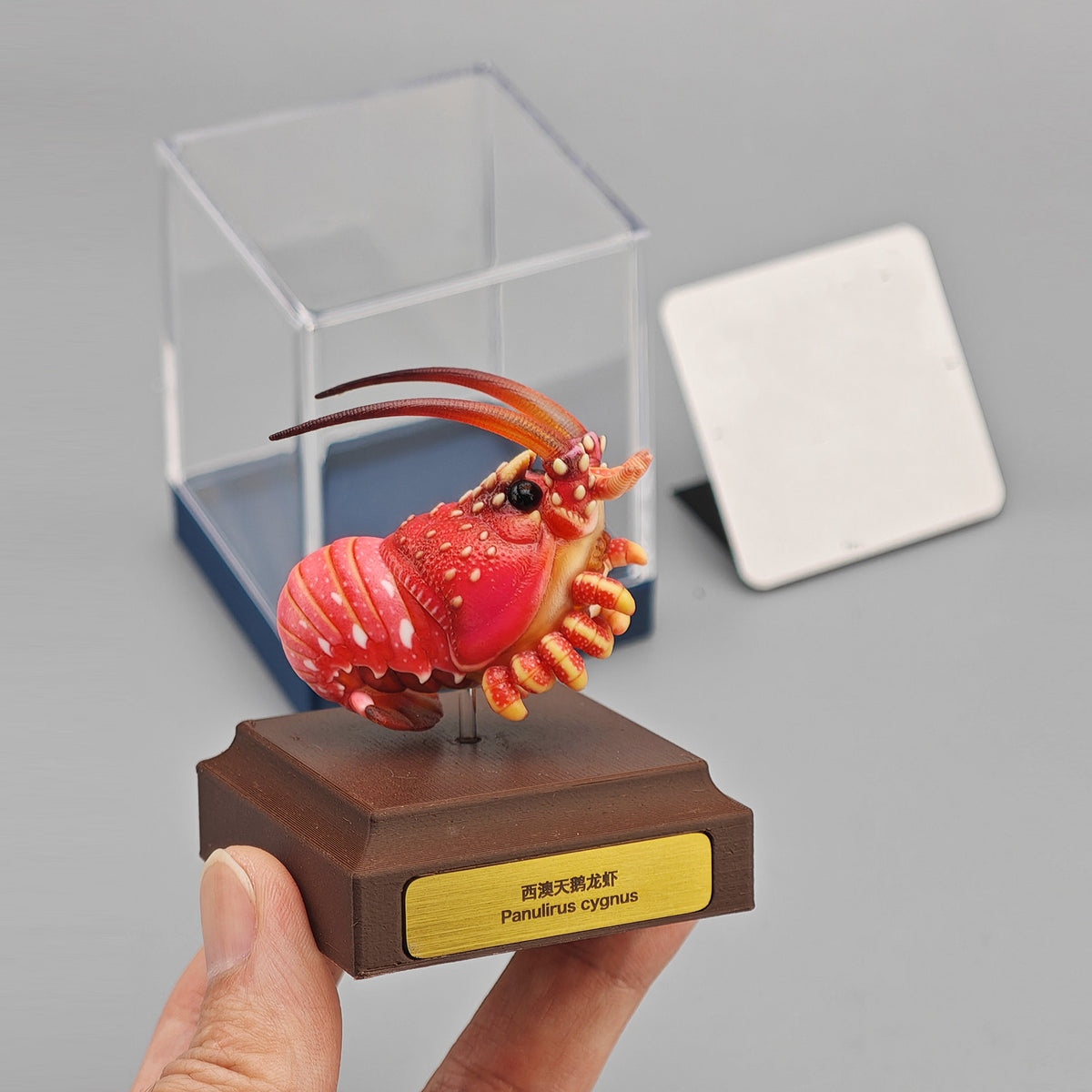 ViVid Studio Western Rock Lobster Figure