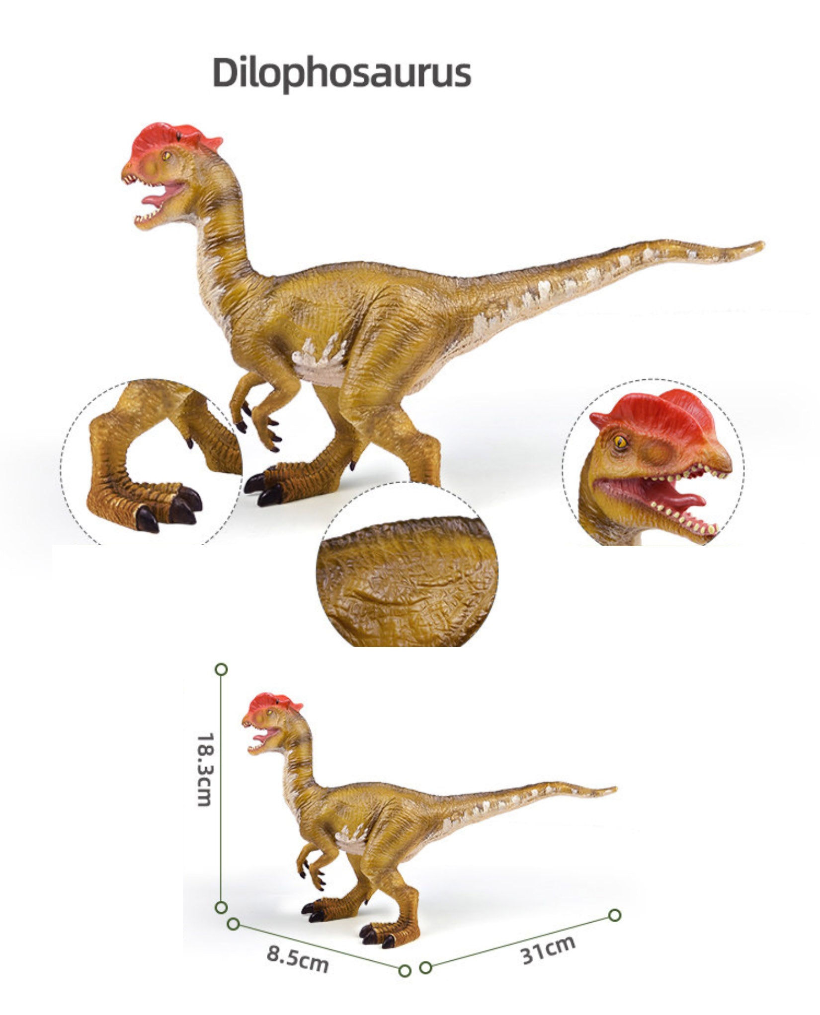 RECUR Dilophosaurus Model