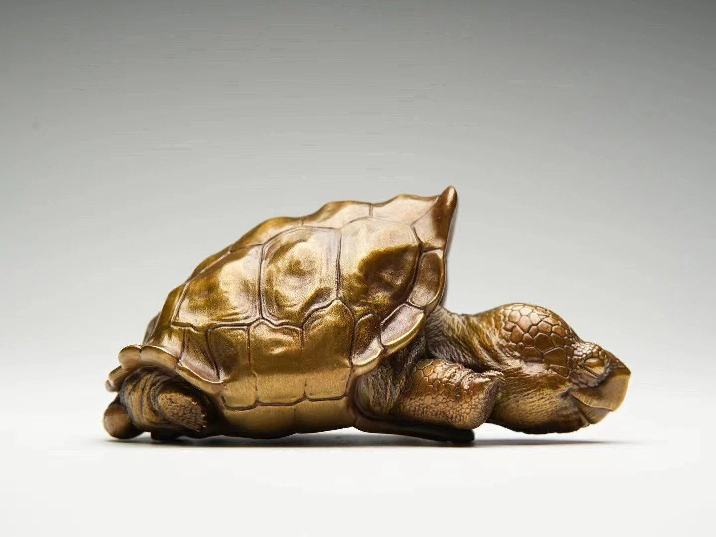 BOWUZHI Studio Galápagos Giant Tortoise Bronze Model