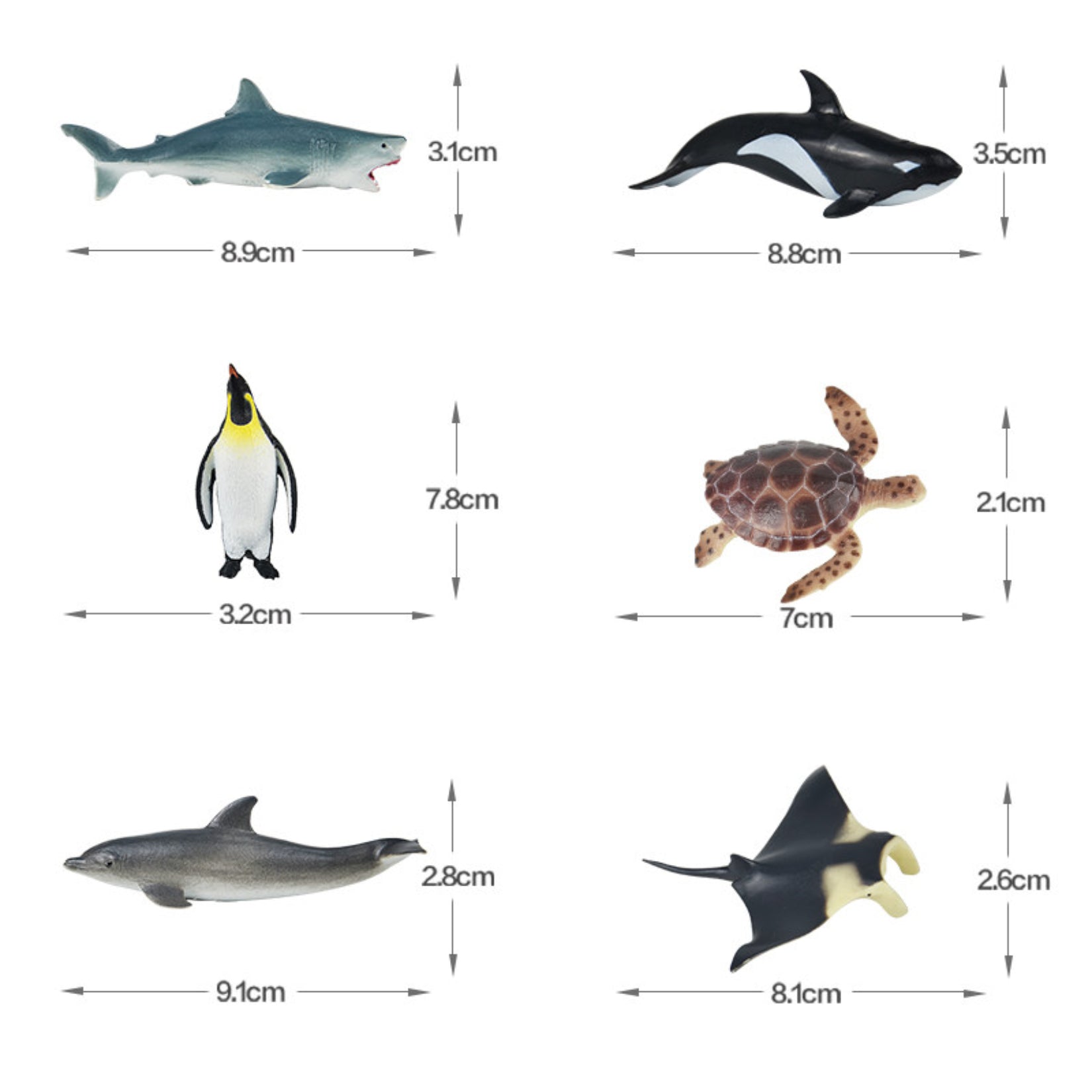RECUR Marine Animal Model Set