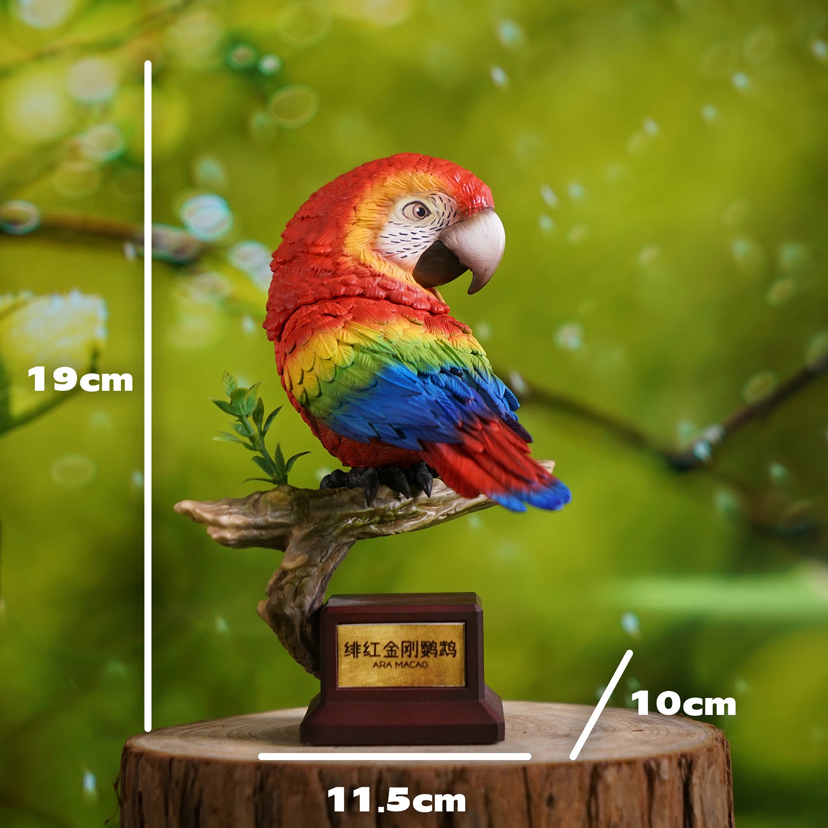 Ara Ararauna & Ara Macao Parrot Model