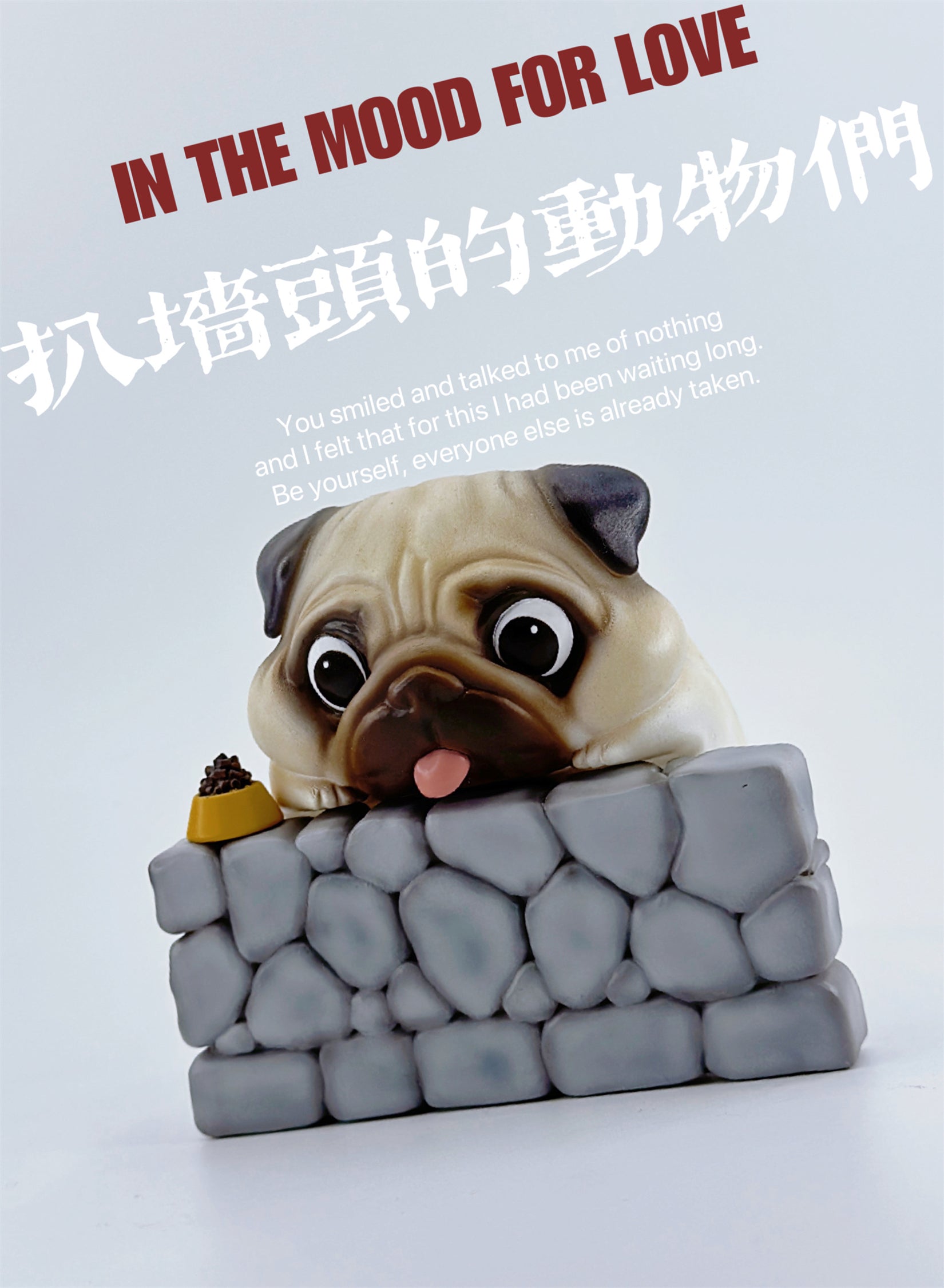 Schildkröten-Serie Tiermodell