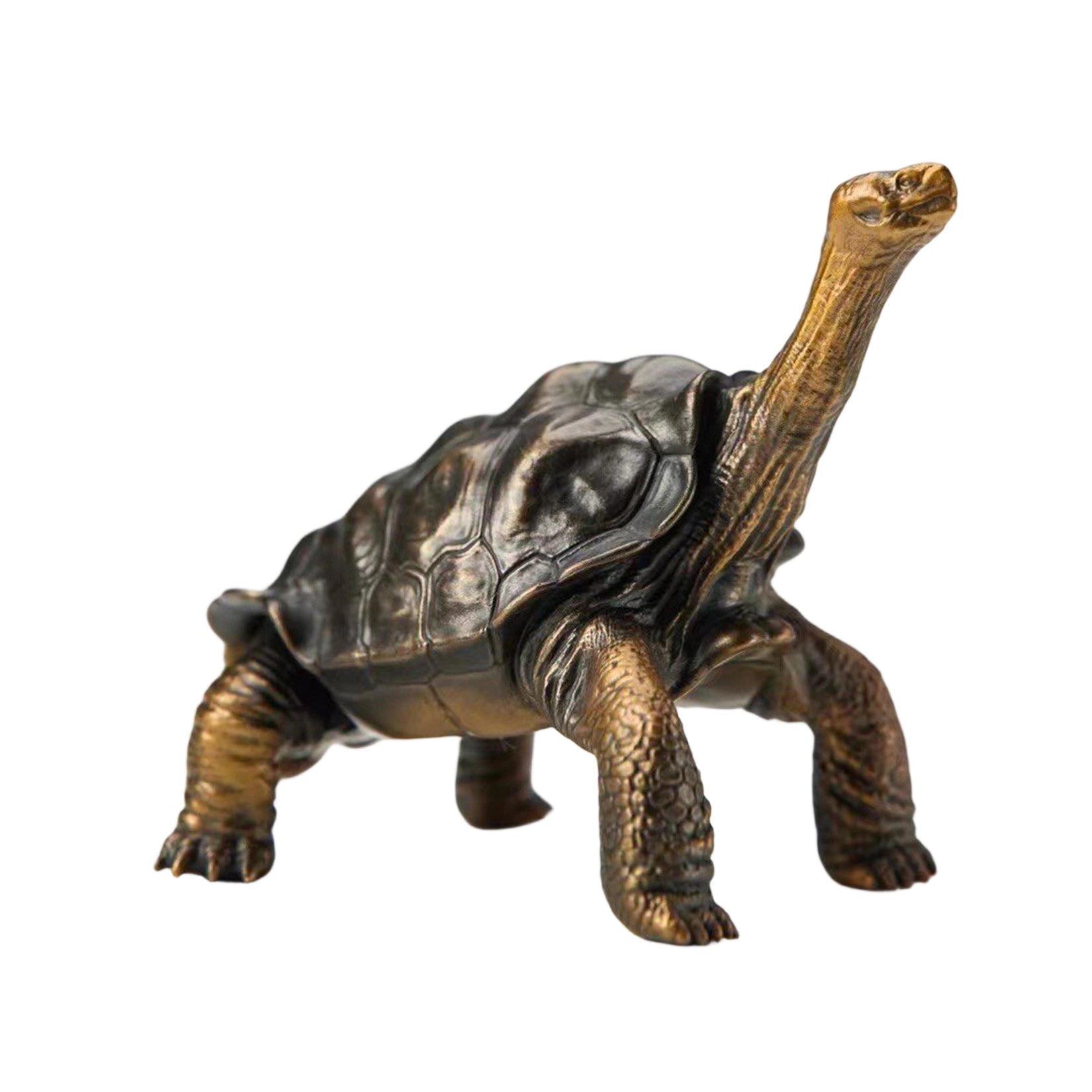 BOWUZHI Studio Galapagos Giant Tortoise Figure