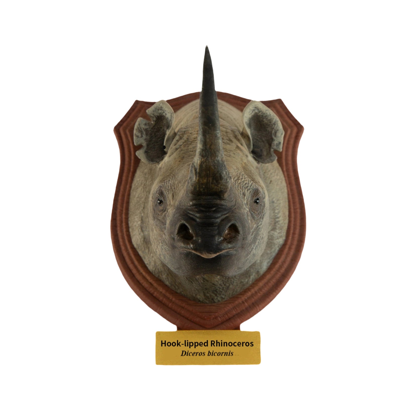 Animal Planet World Encyclopedia Of Animals Volume 2